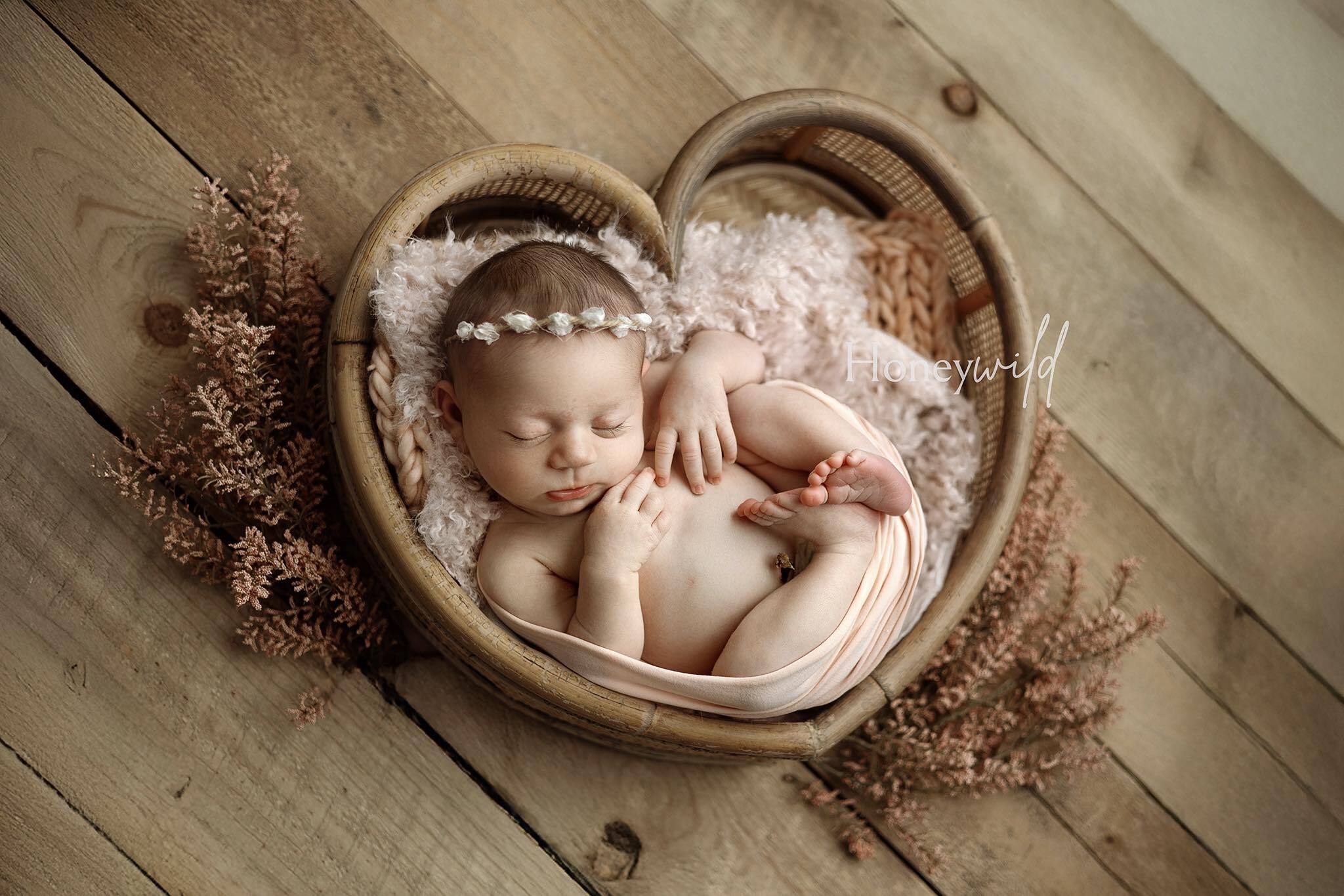 Credit Honeywild Photography