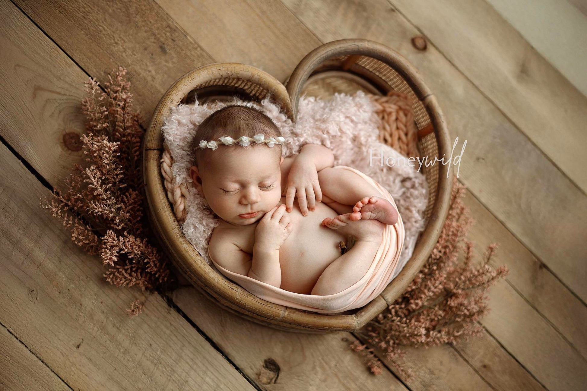 Credit Honeywild Photography