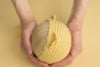 Mercury Cream Corn | Bear Bonnet