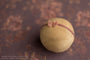 Middle Child Bow | Brick Dust / Princess Geller | Wine Garden