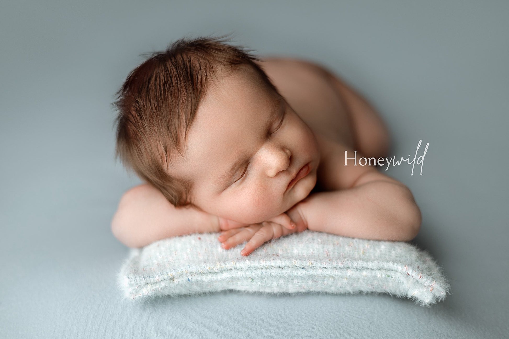 Credit Honeywild Photography