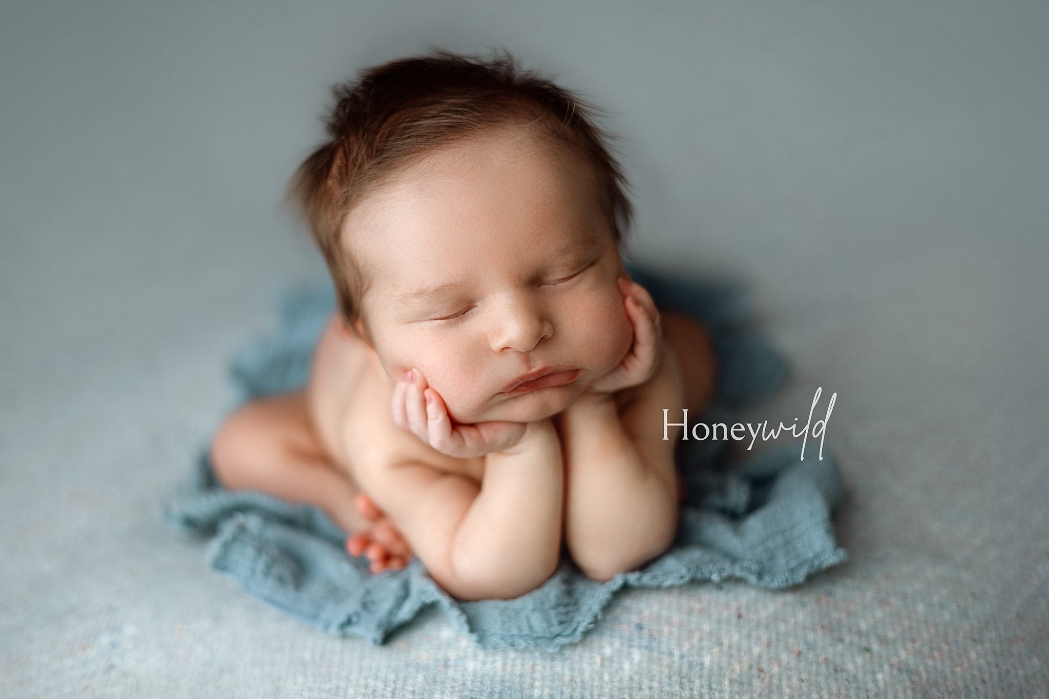 Credit Honeywild Photography