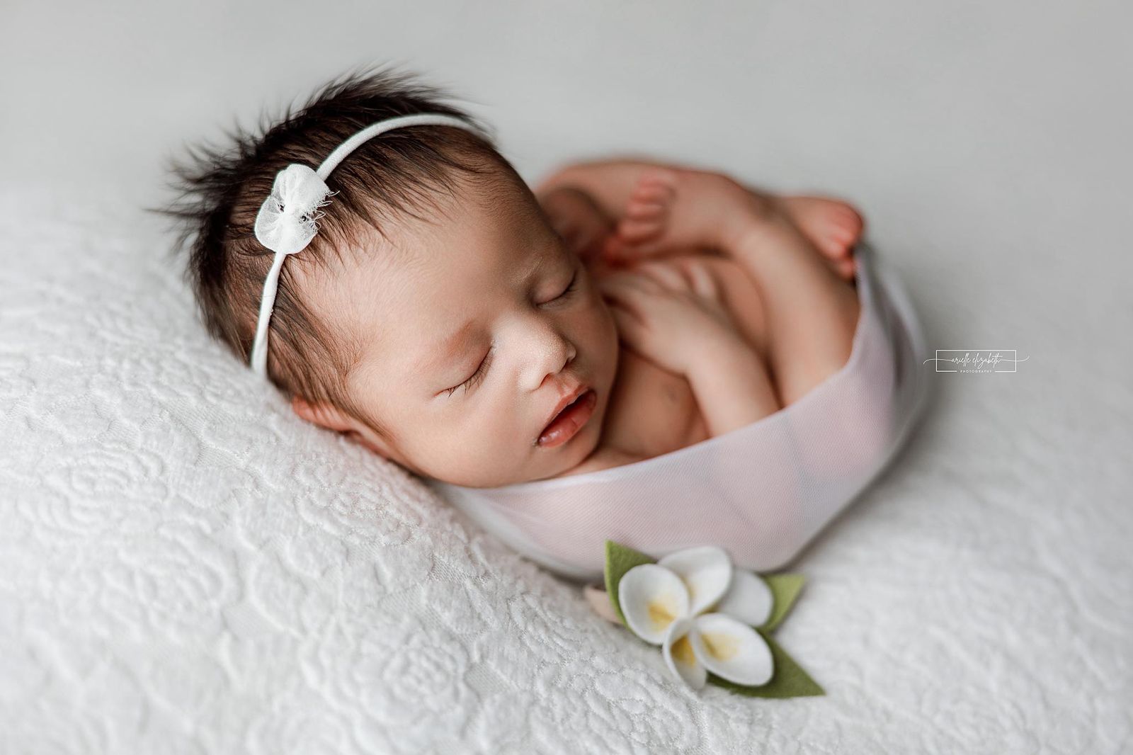 Credit Arielle Elizabeth Photography