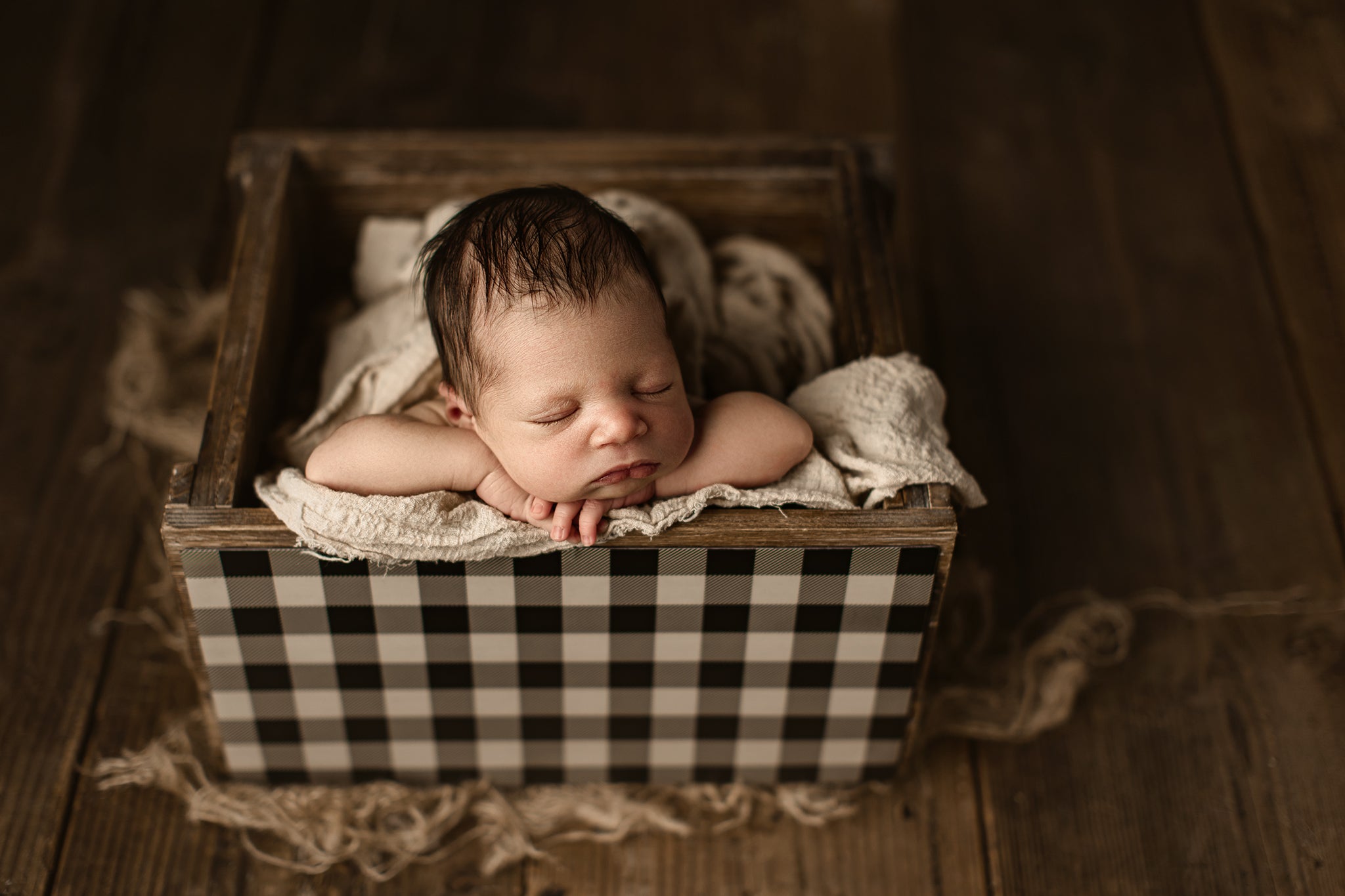 Credit Hello Little Studios
