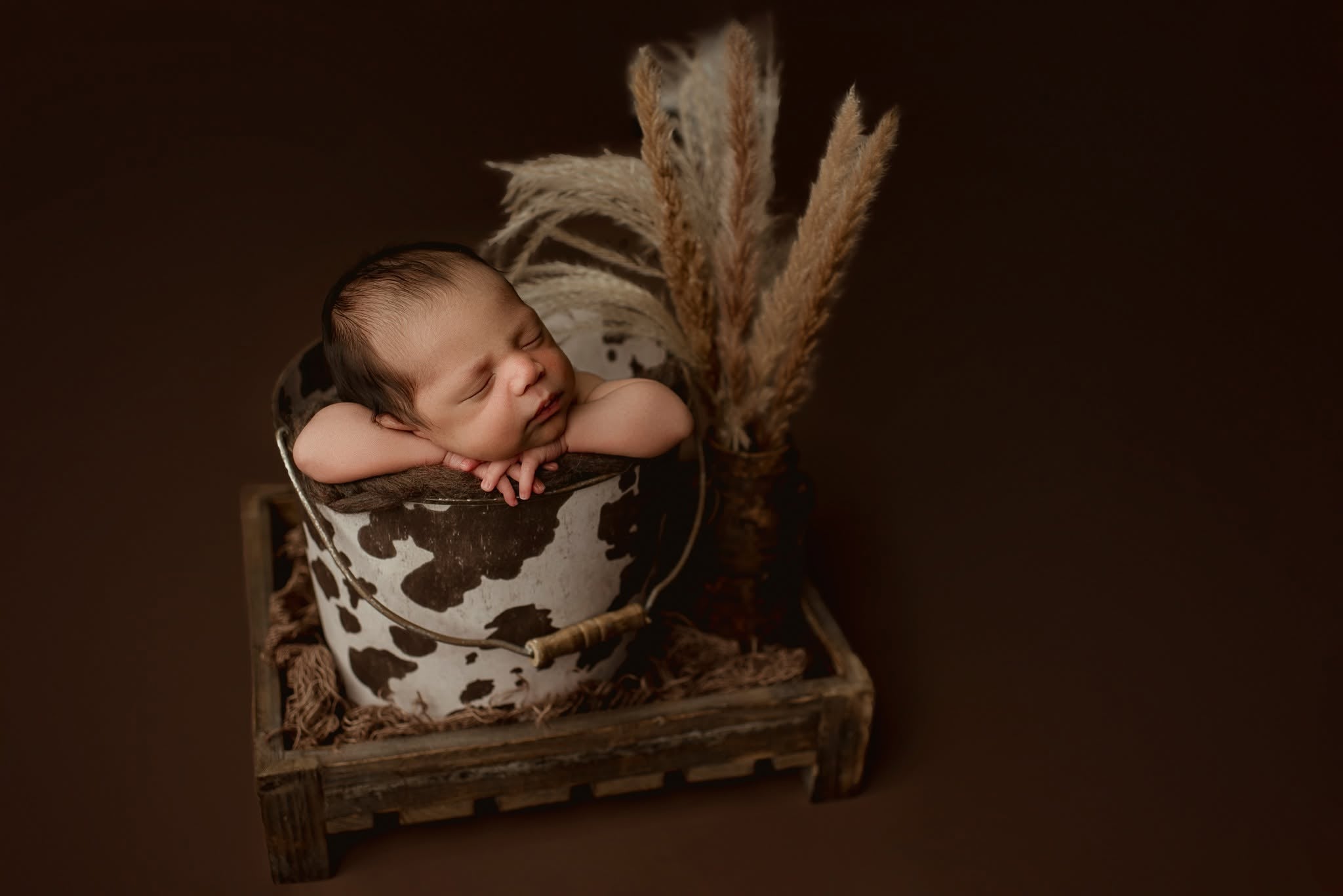 Credit Lindsey Reid Photography
