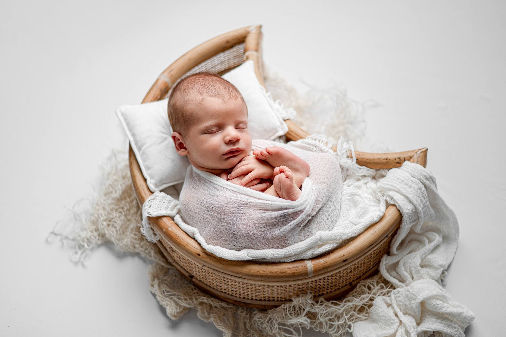 Credit Elizabeth Curry Photography