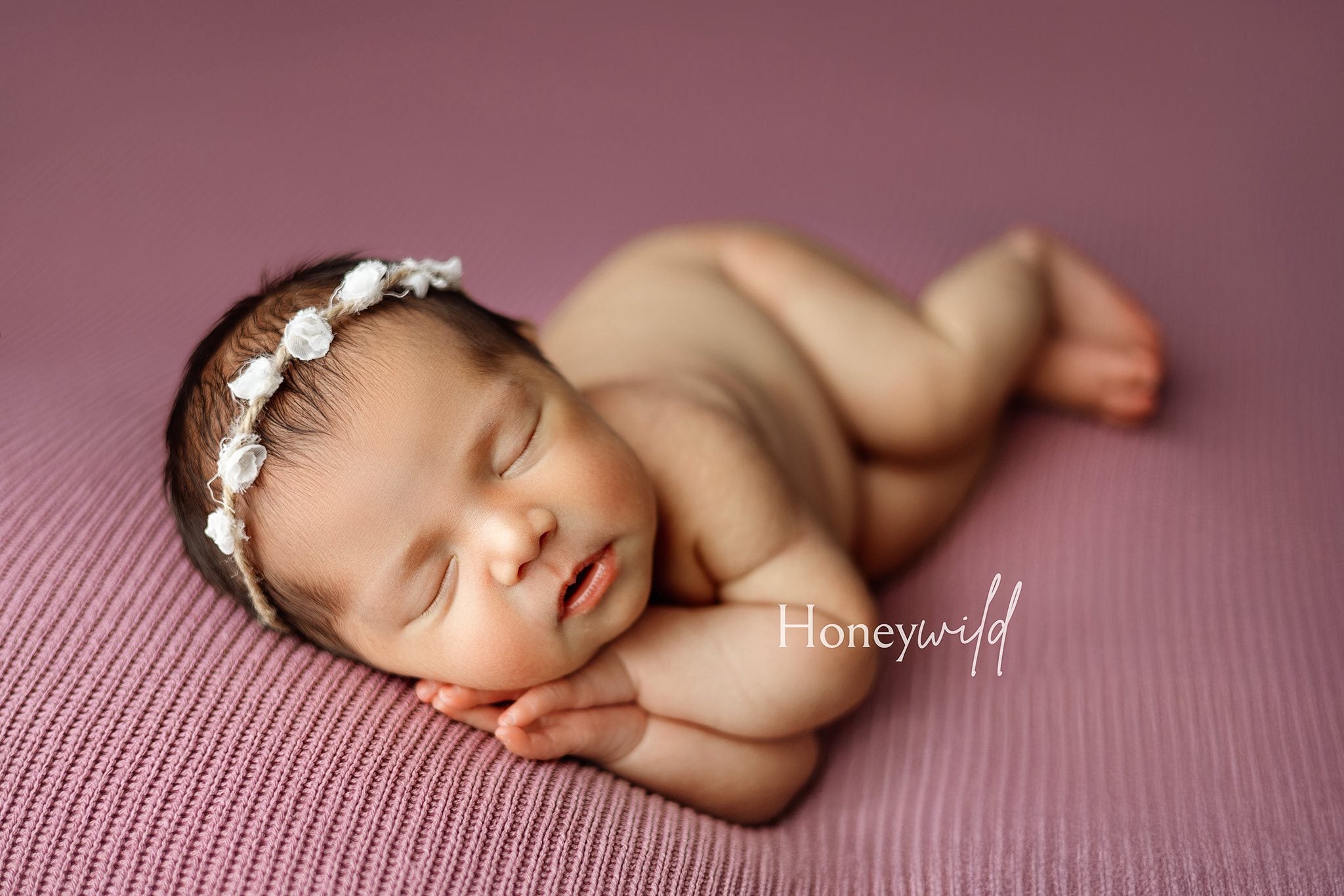 Credit Honeywild Photography