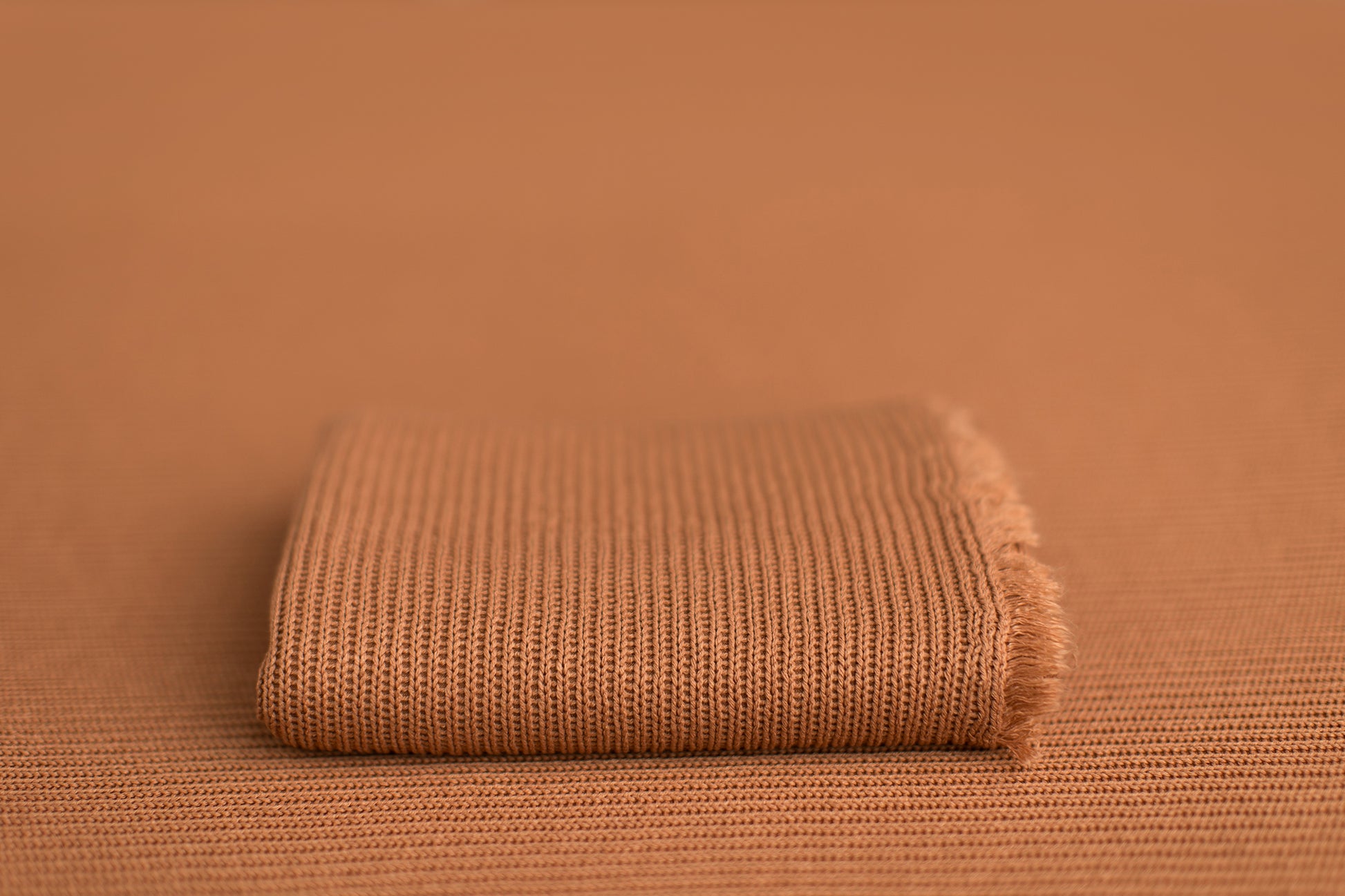 Mr. Gerardi Jr. | Aged Apricot