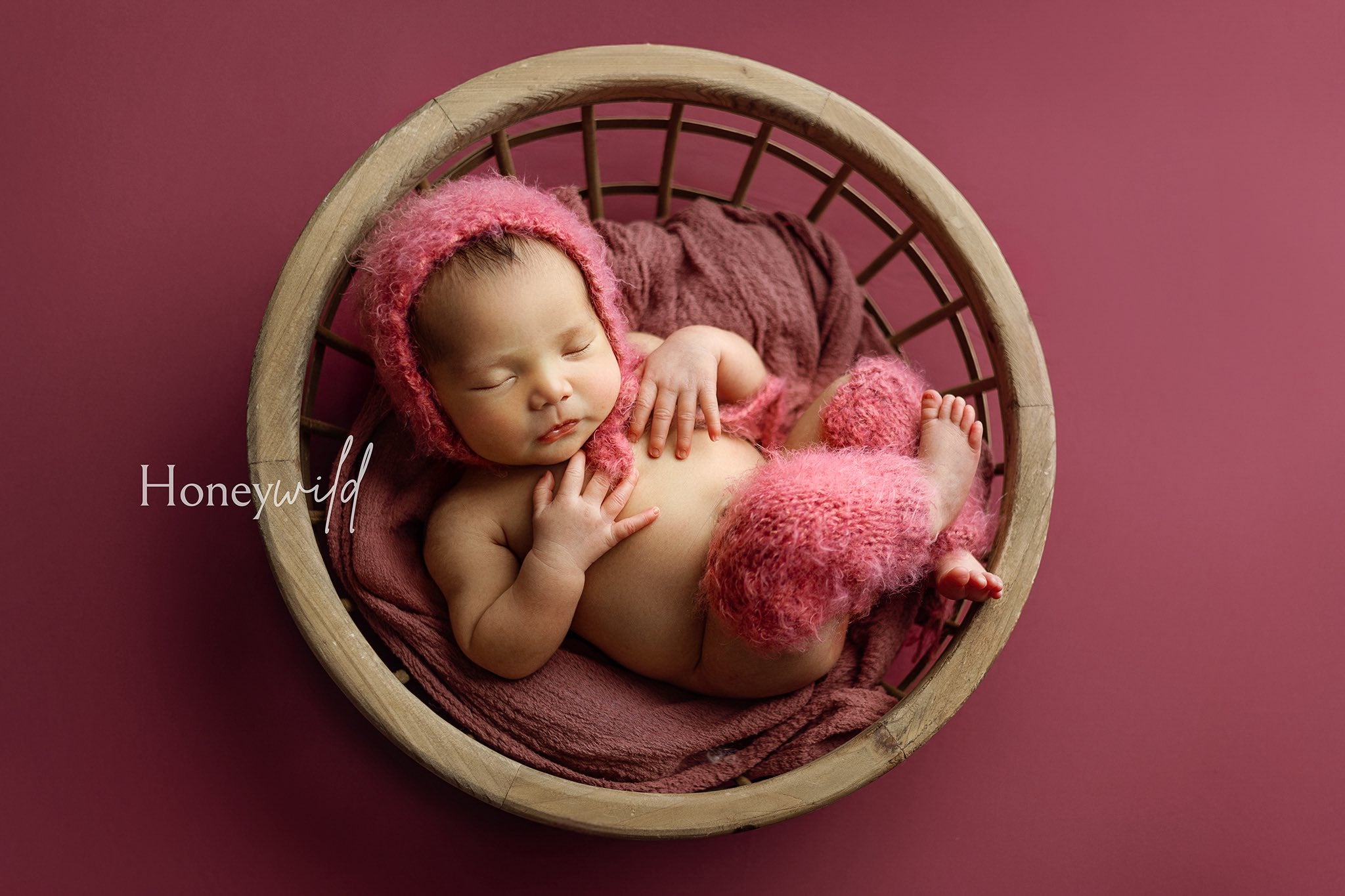 Credit Honeywild Photography