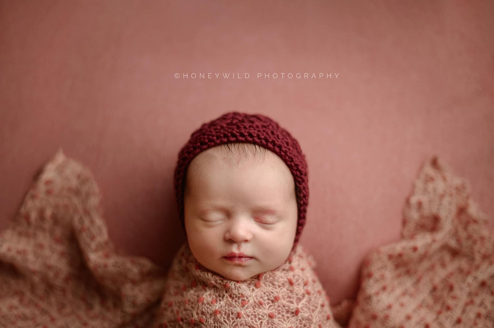 Credit Honeywild Photography