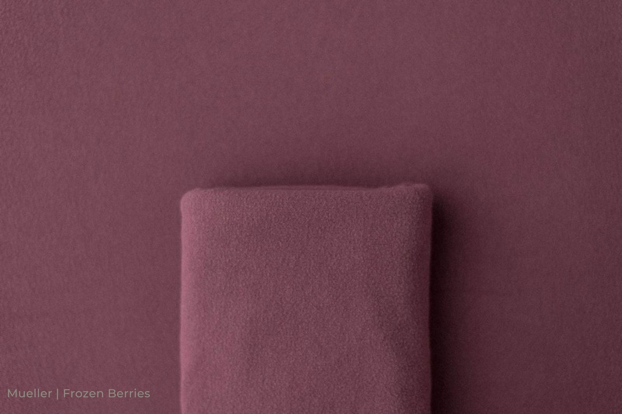 Mueller | Frozen Berries