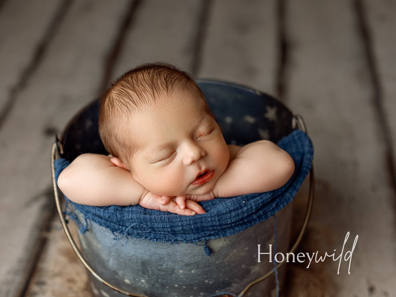 Credit Honeywild Photography