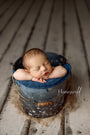 Credit Honeywild Photography