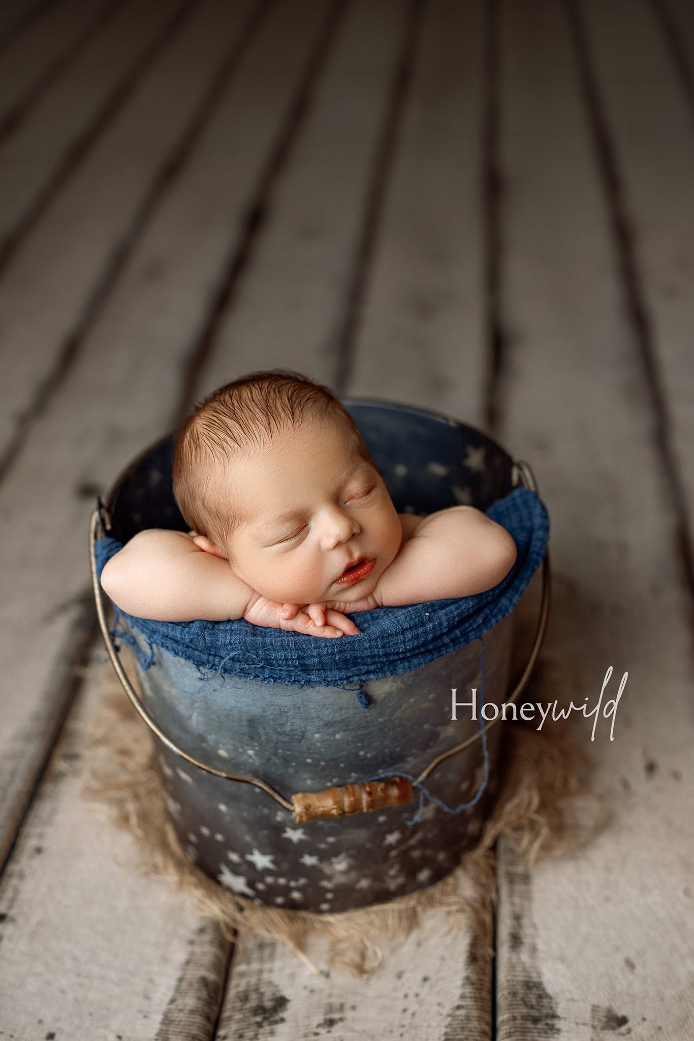 Credit Honeywild Photography