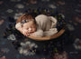 Credit Blueberry Hill Photography