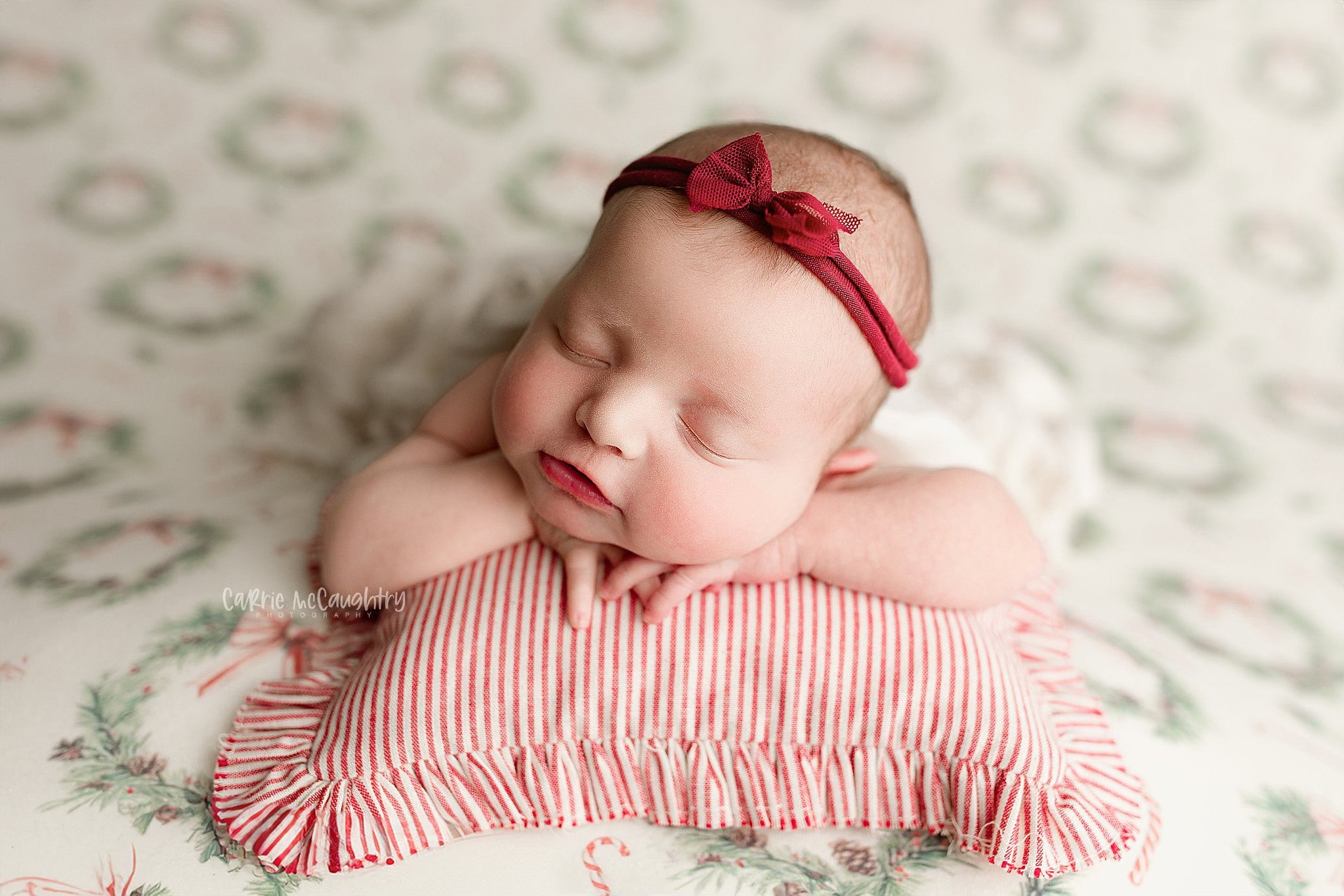 Credit Carrie McCaughtry Photography