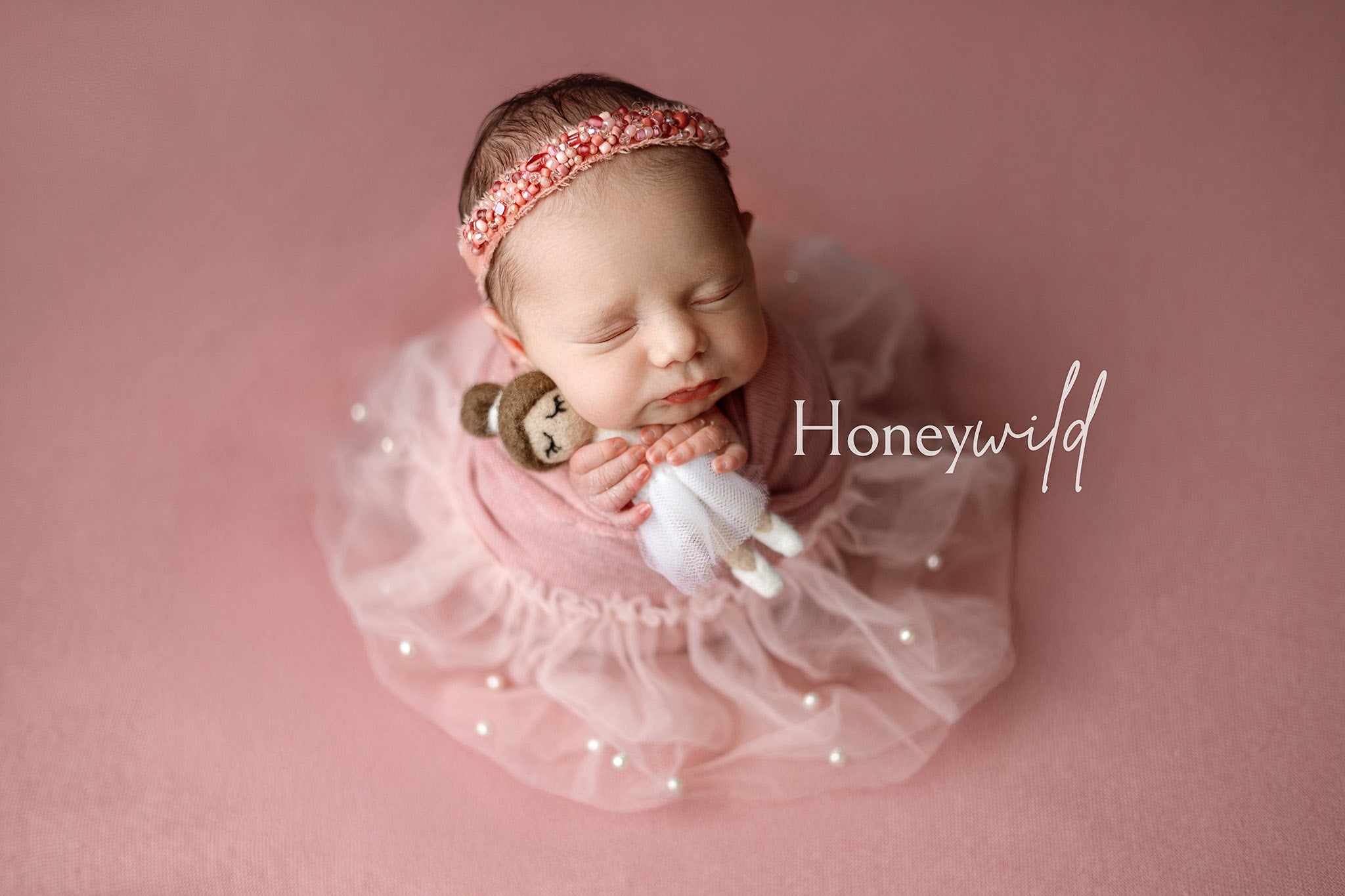 Credit Honeywild Photography