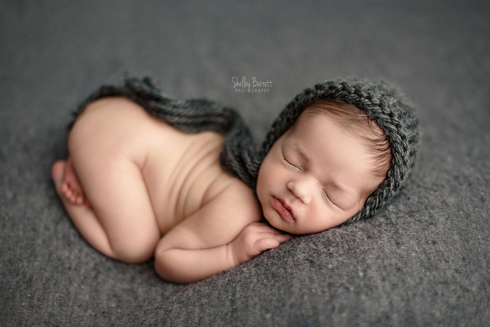 Credit Shelley Barrett Photography
