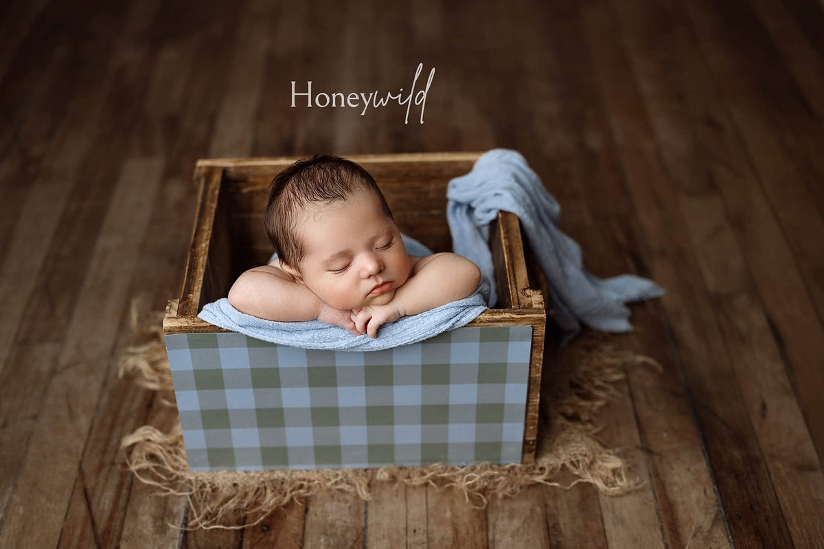 Credit Honeywild Photography