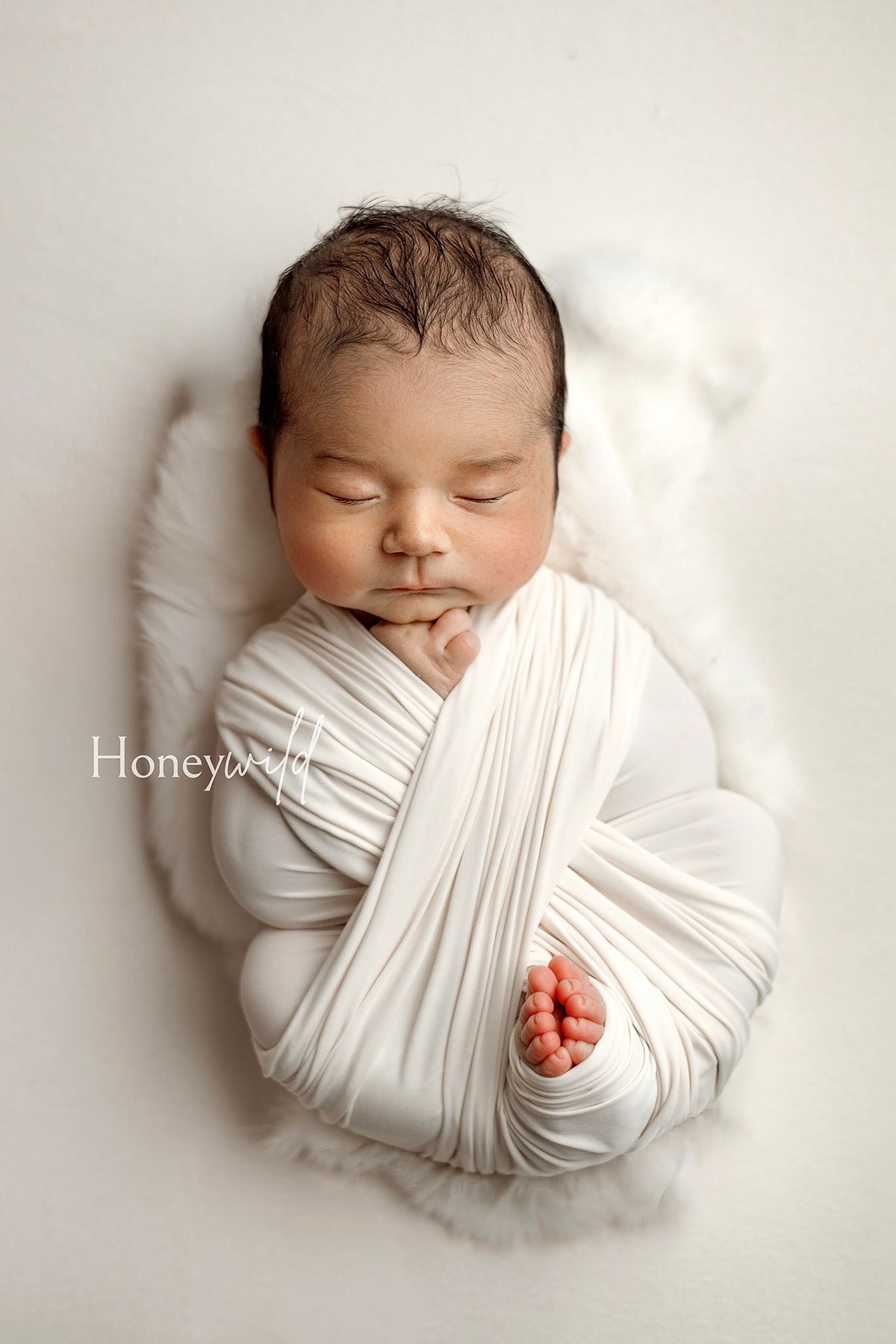Credit Honeywild Photography