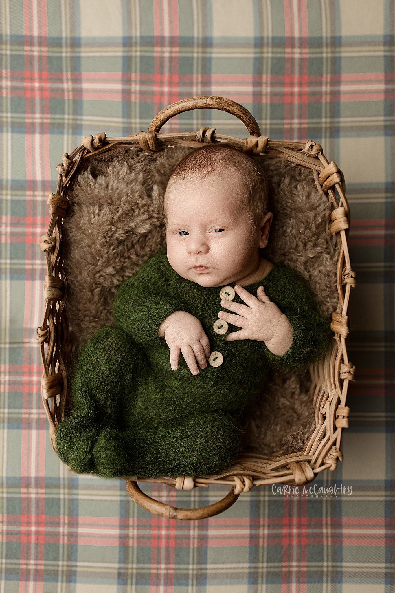 Credit Carrie McCaughtry Photography