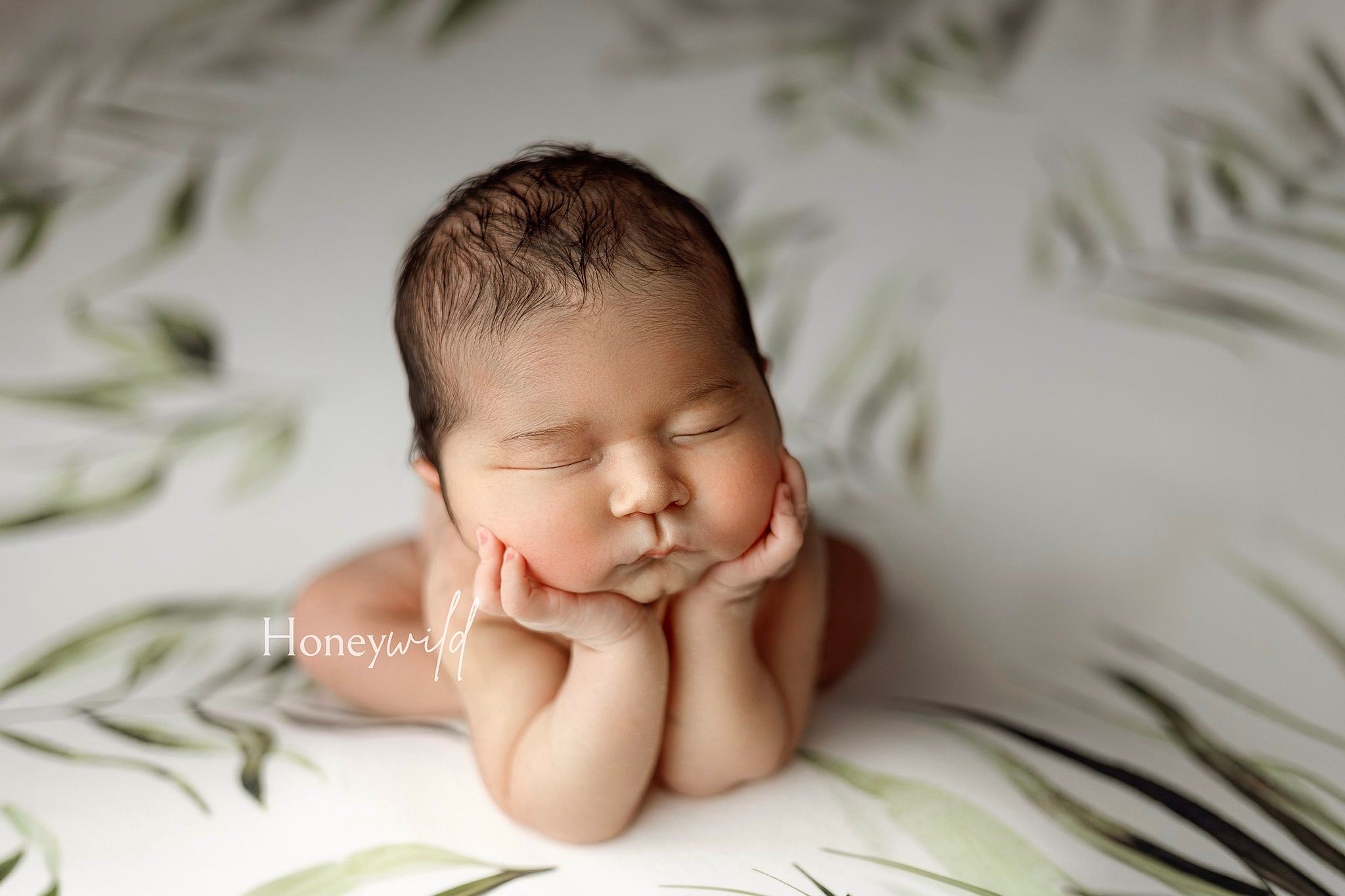 Credit Honeywild Photography
