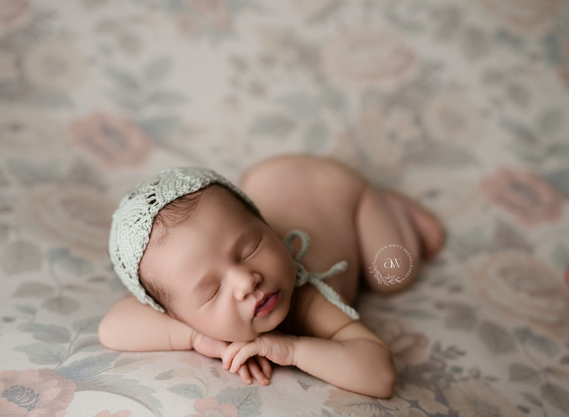 Credit Ashleigh Whitt Photography