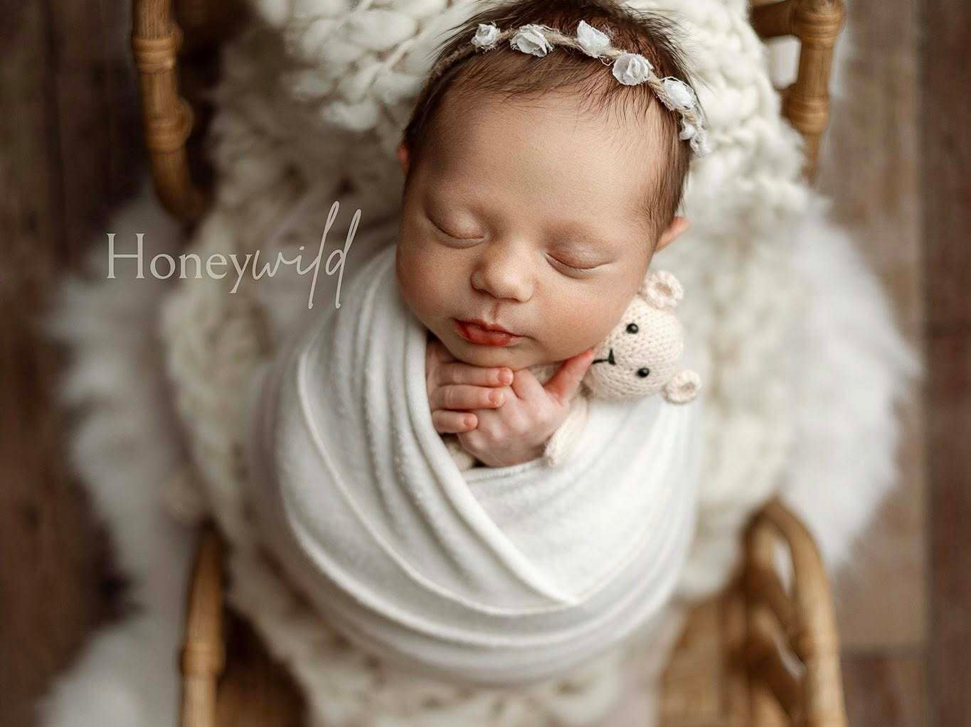 Credit Honeywild Photography