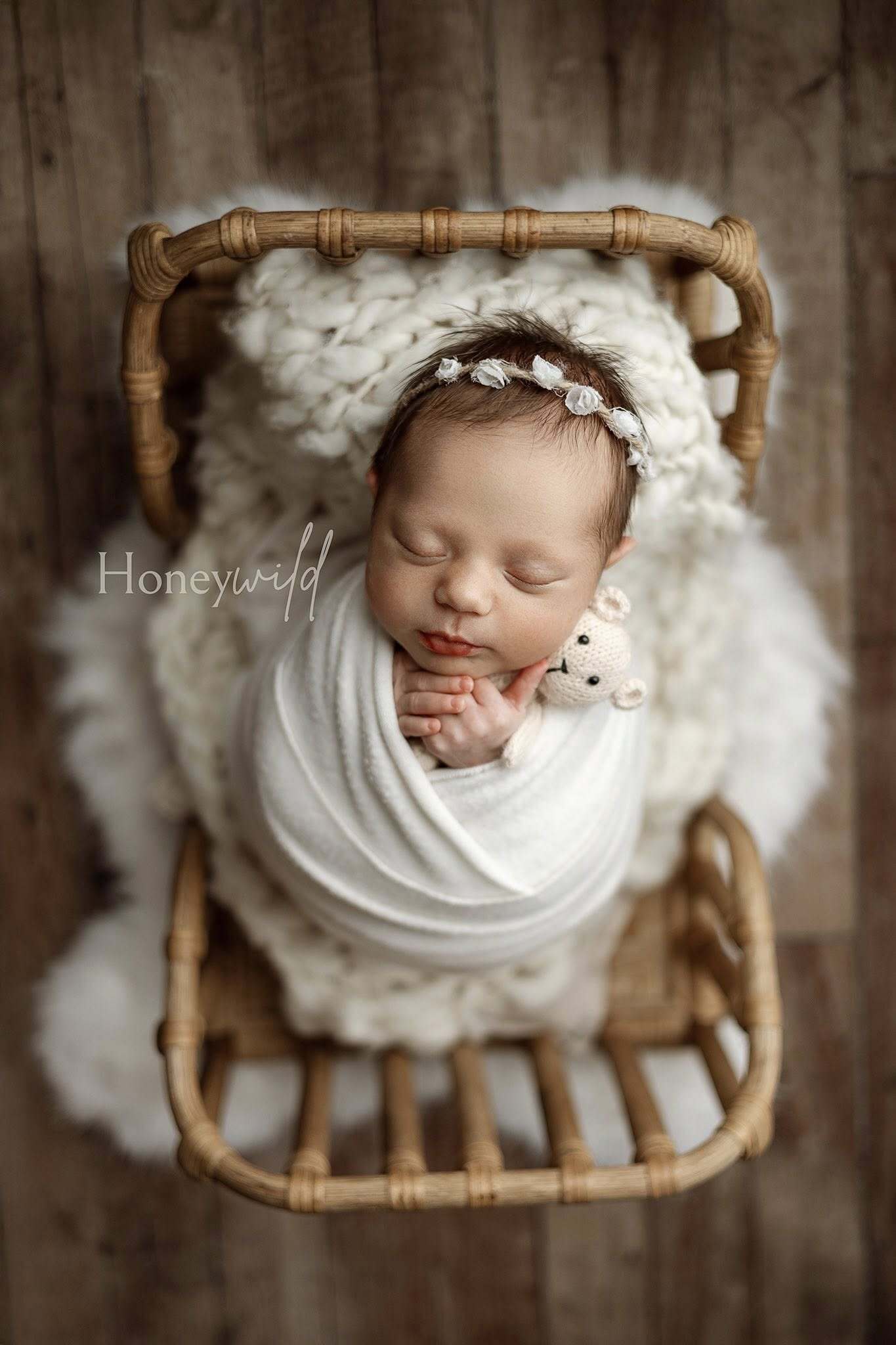 Credit Honeywild Photography