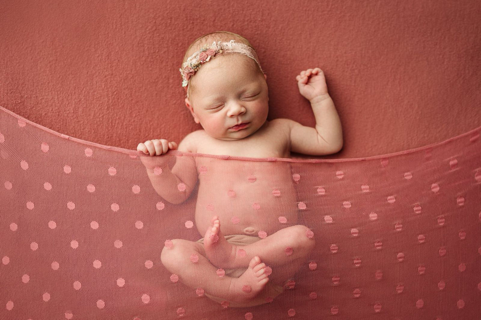 Credit Kimberly Diane Photography