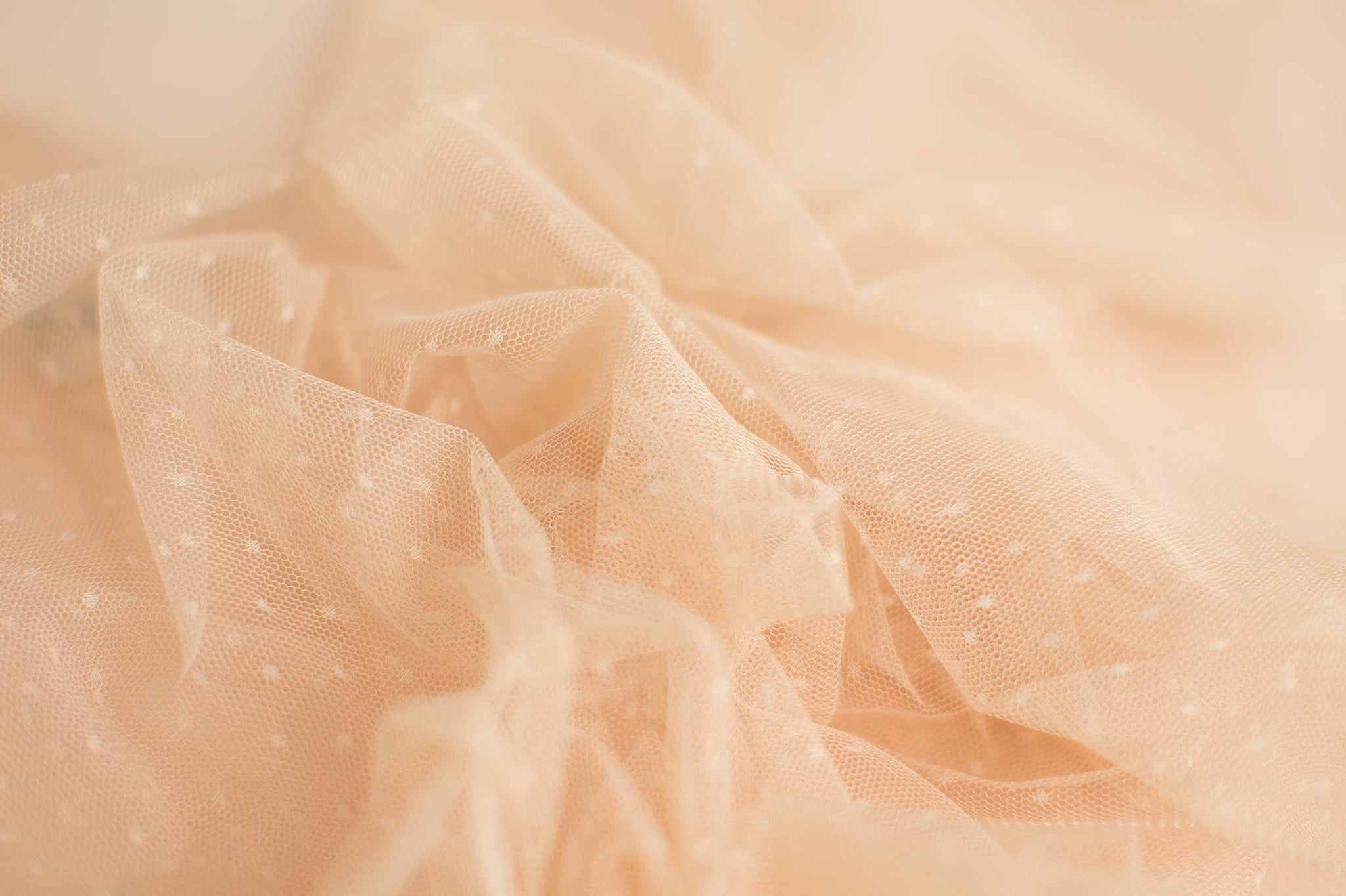 Polka Dots | Beige Layer