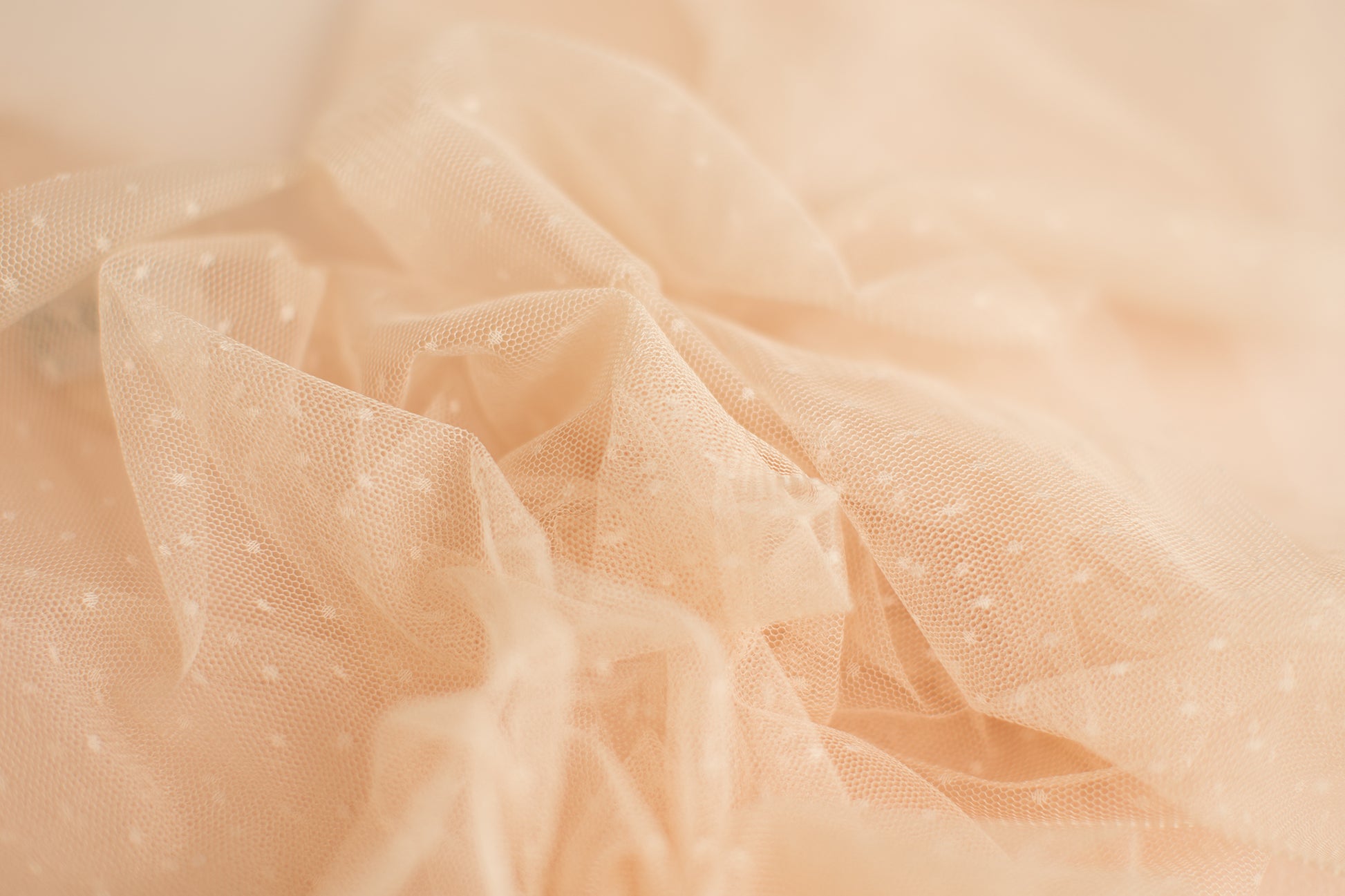 Polka Dots | Beige Layer