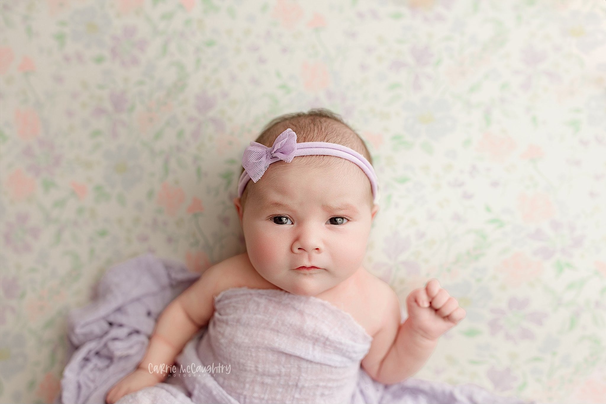 Credit Carrie McCaughtry Photography