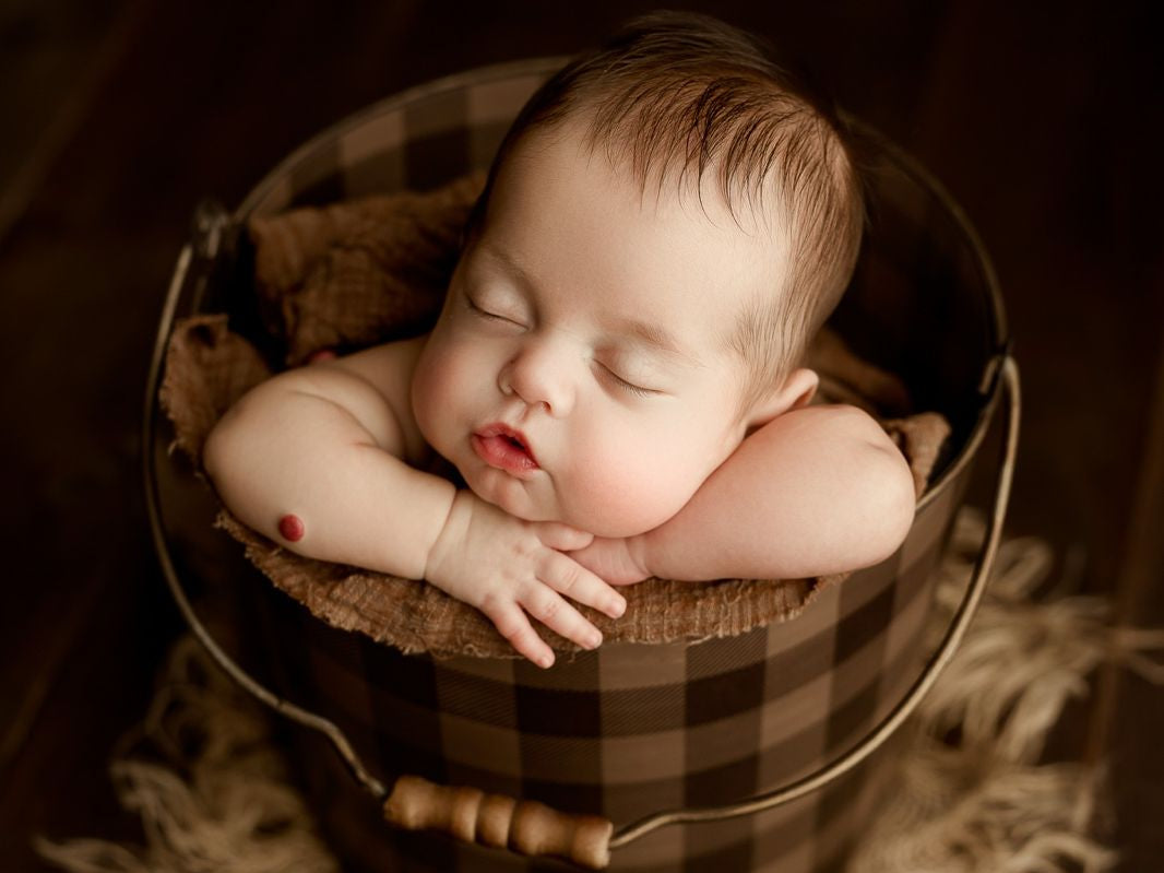 Credit Lacey Andreae Photography