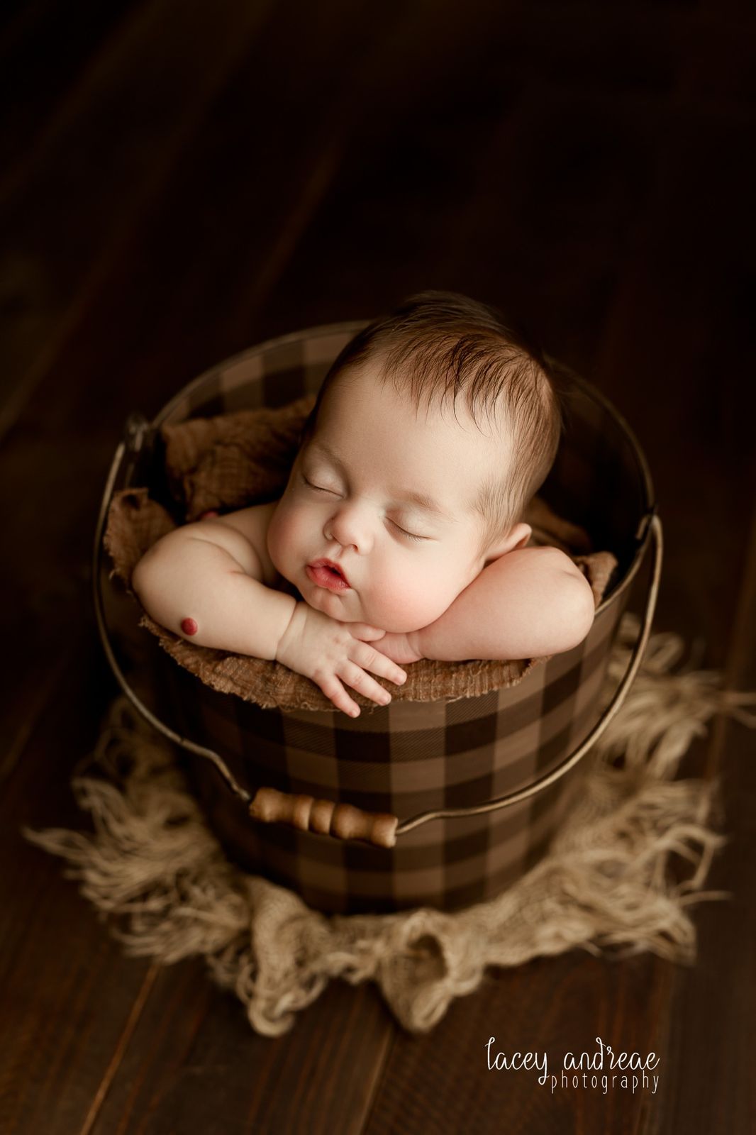Credit Lacey Andreae Photography