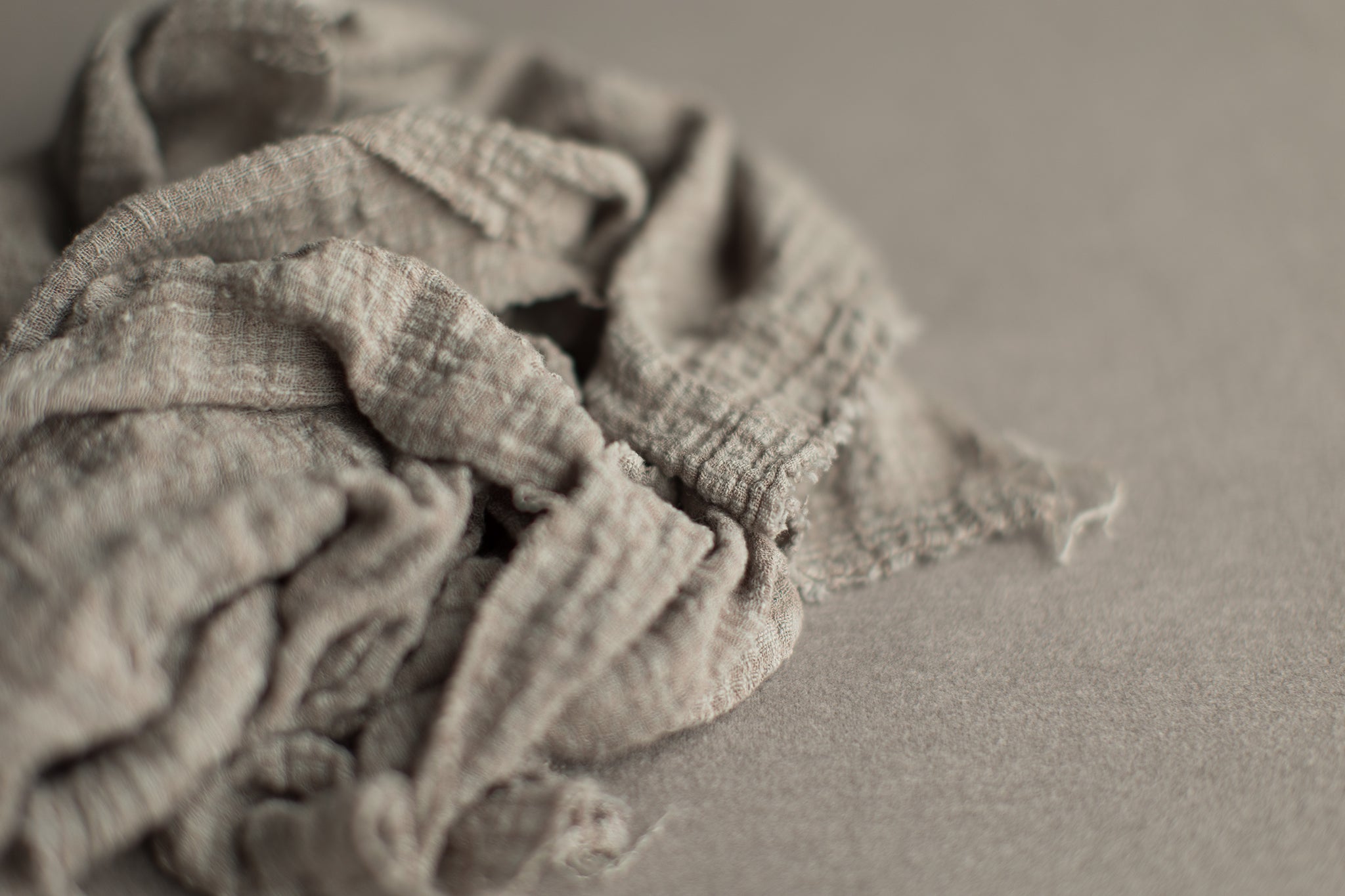 Pretty Little Layers | Mourning Dove
