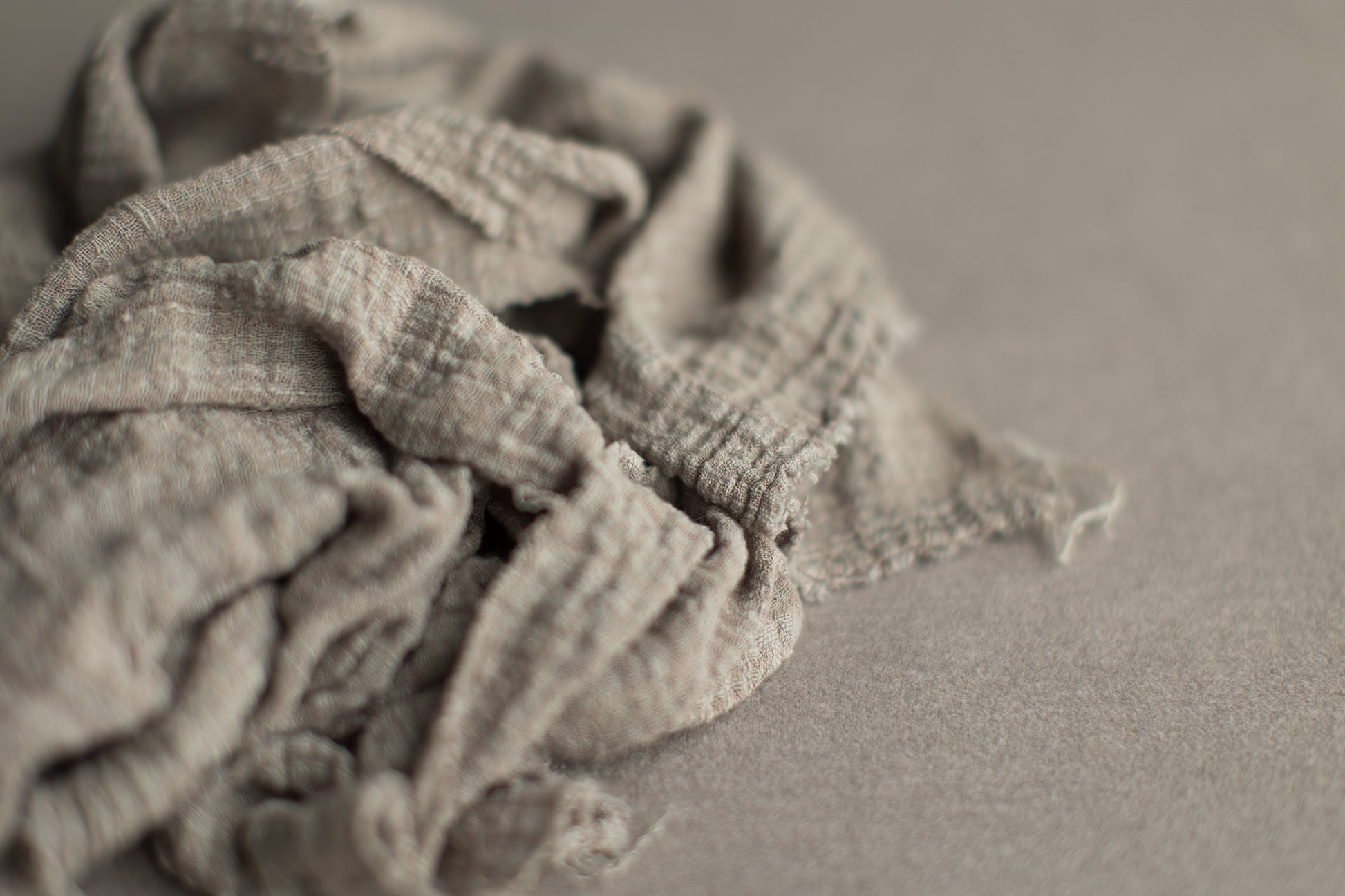 Pretty Little Layers | Mourning Dove