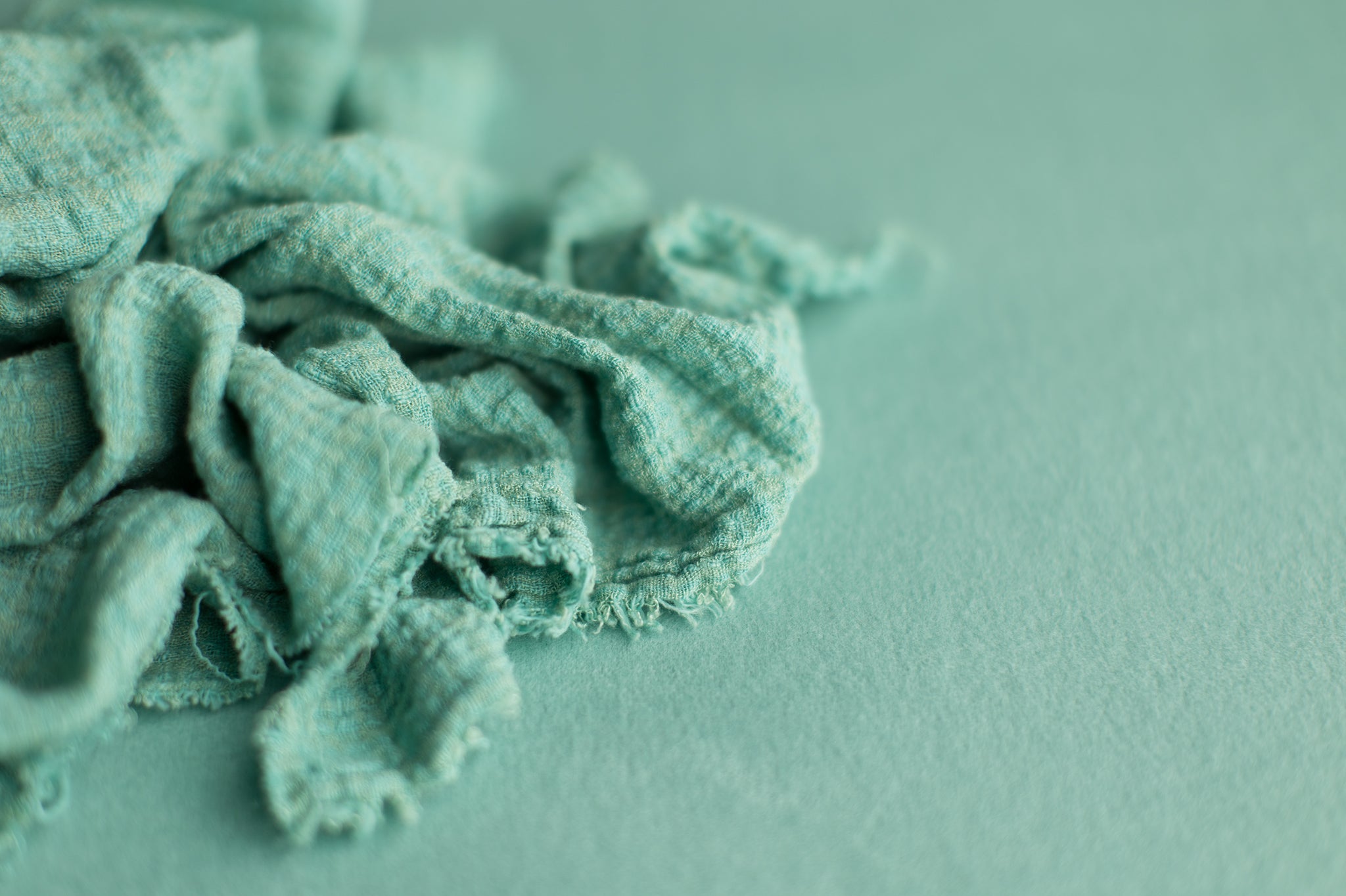 Pretty Little Layers | Wasabi