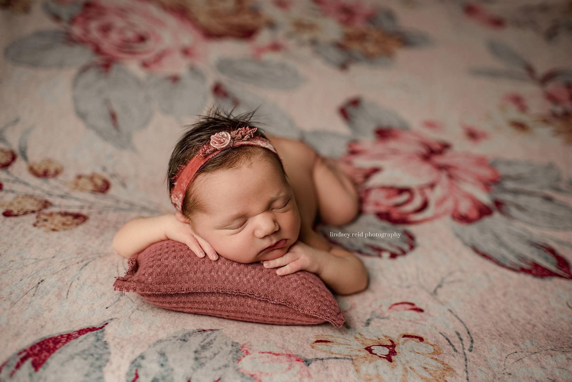 Credit Lindsey Reid Photography