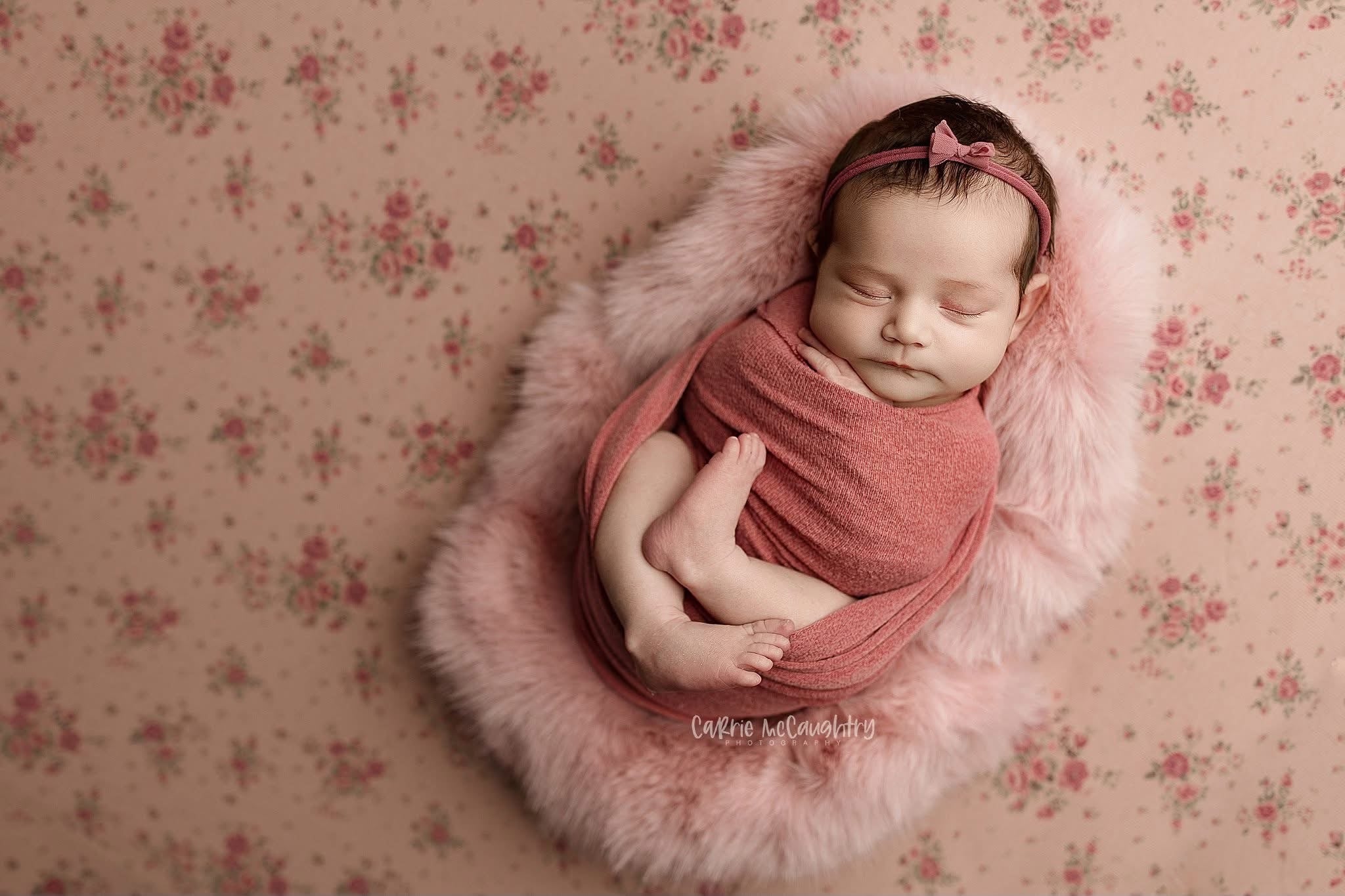 Credit Carrie McCaughtry Photography