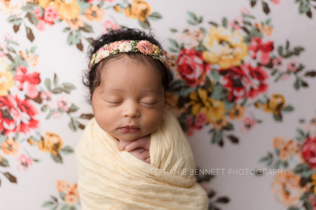 Credit Stephanie Bennett Photography