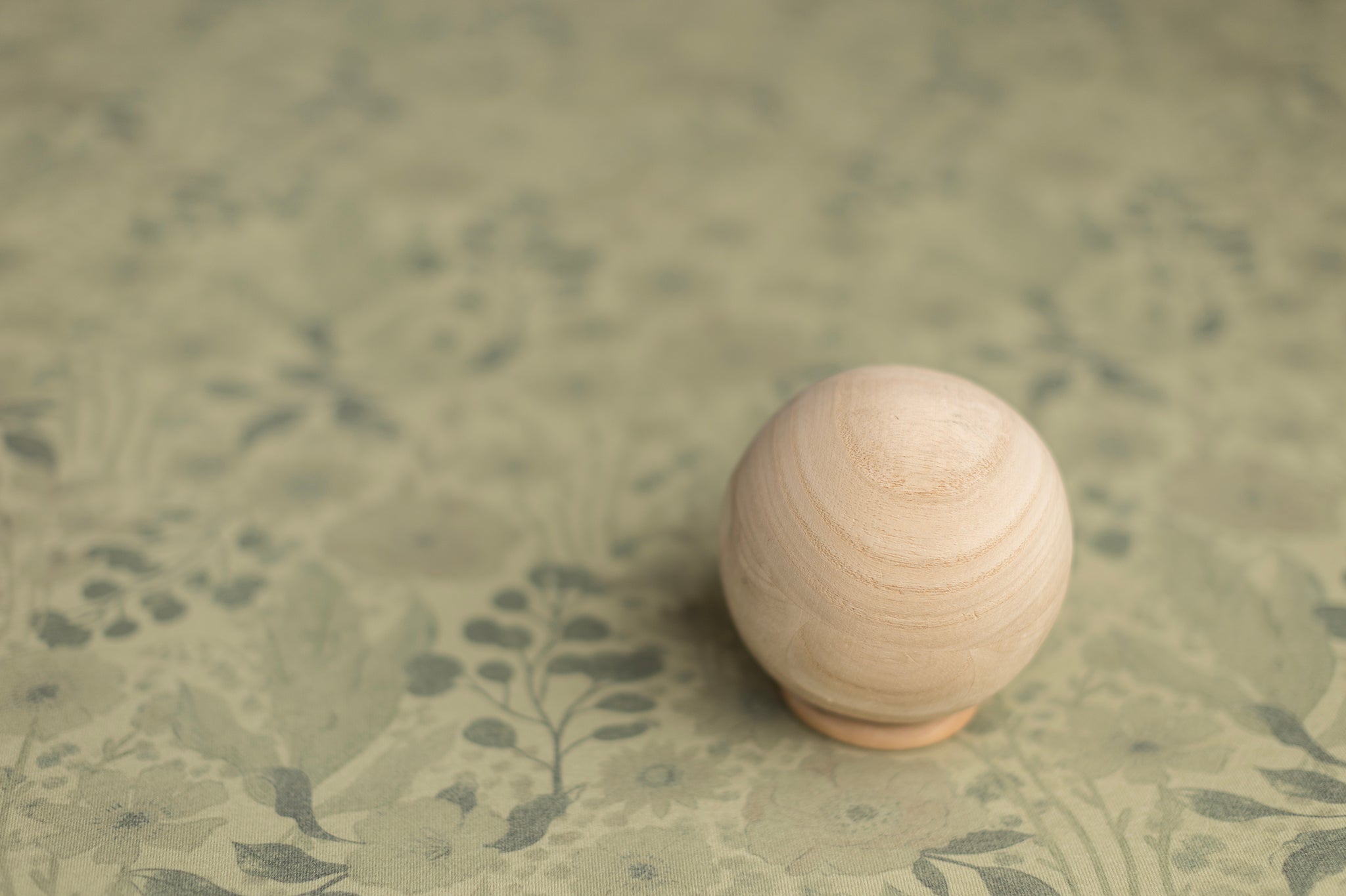 Princess Frank Jr. | Greenhouse