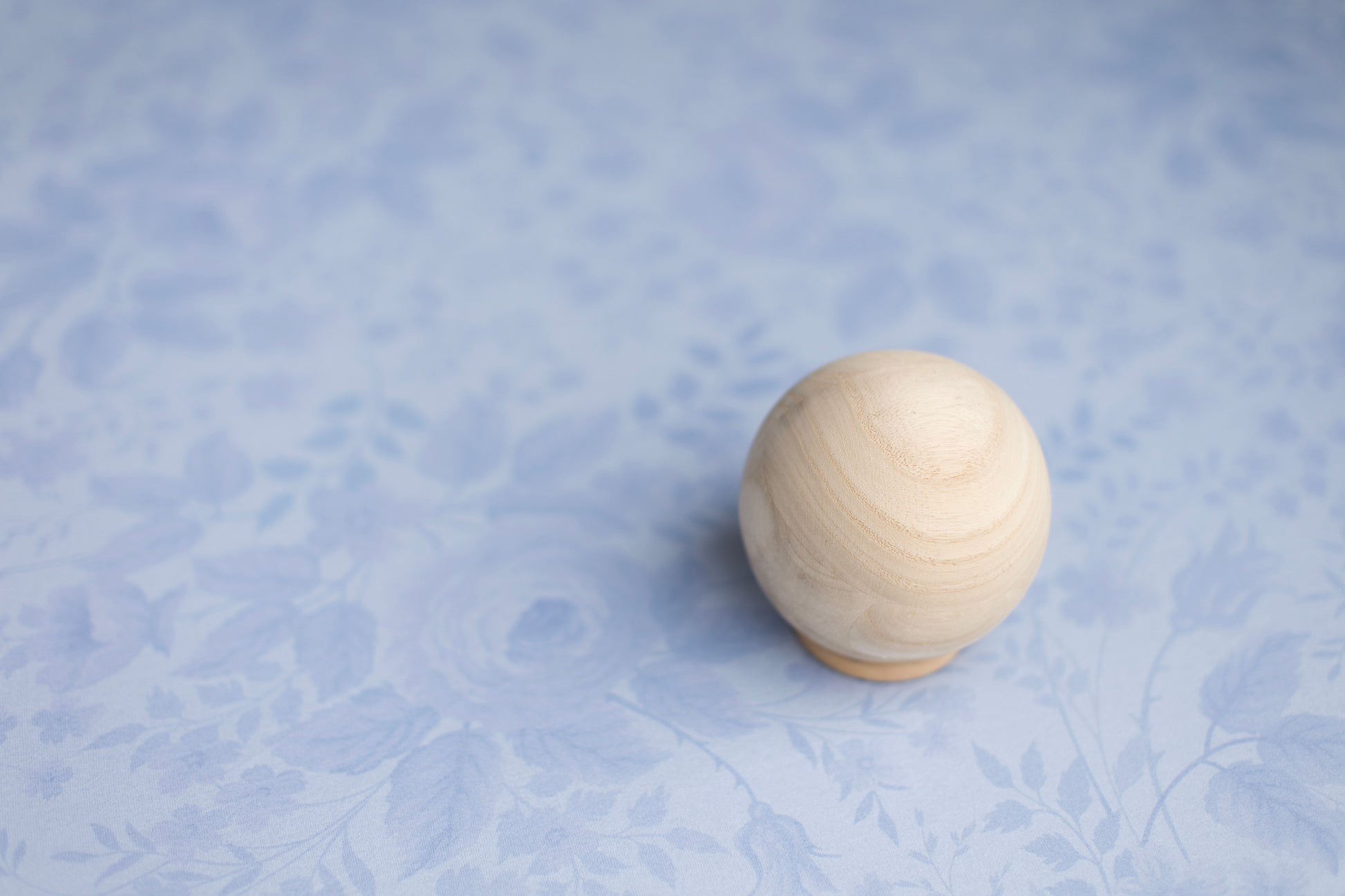 Princess Frank Jr. | Windy Darling (OOPS)