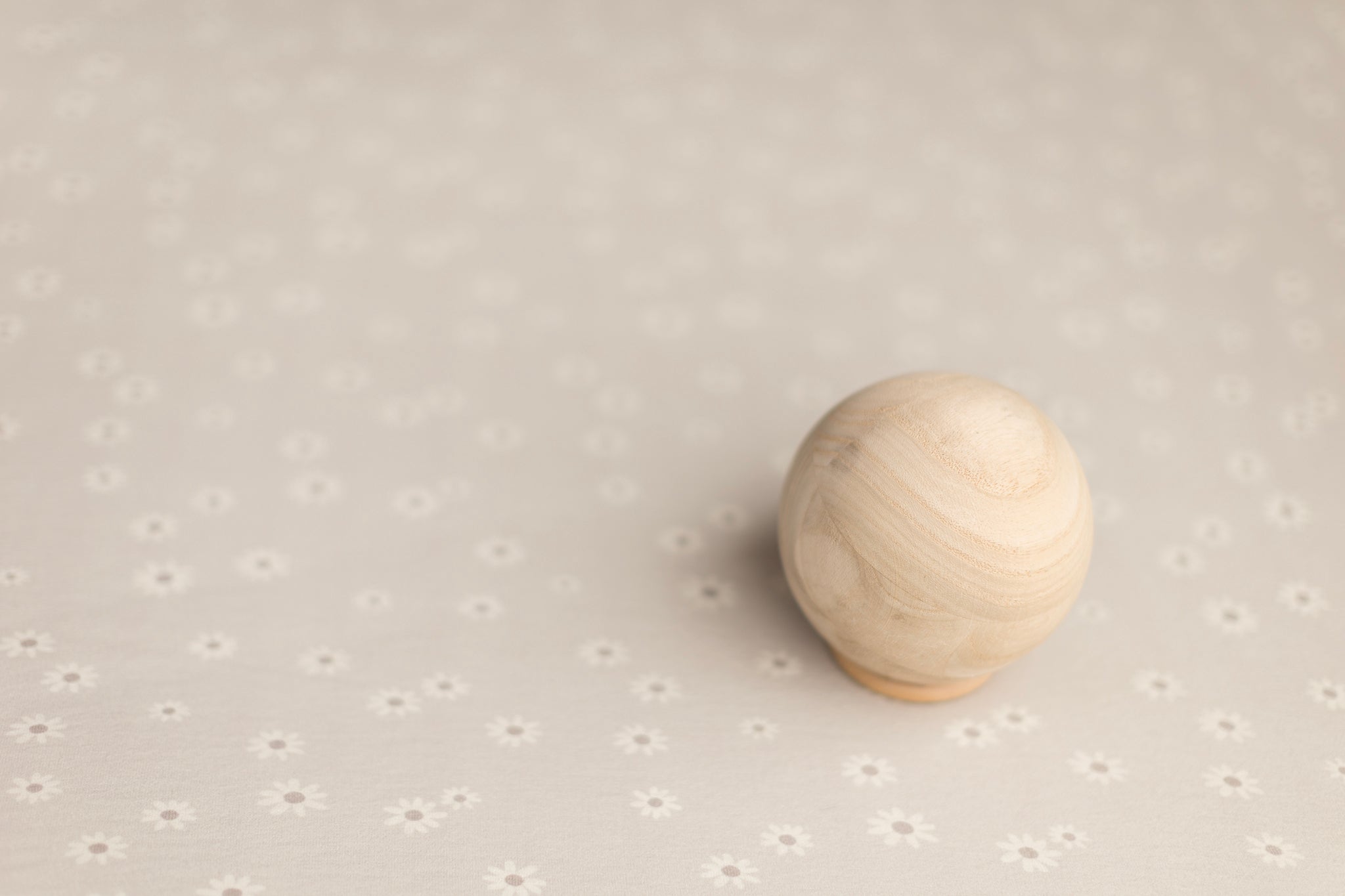 Princess Geller | Moody Daisy