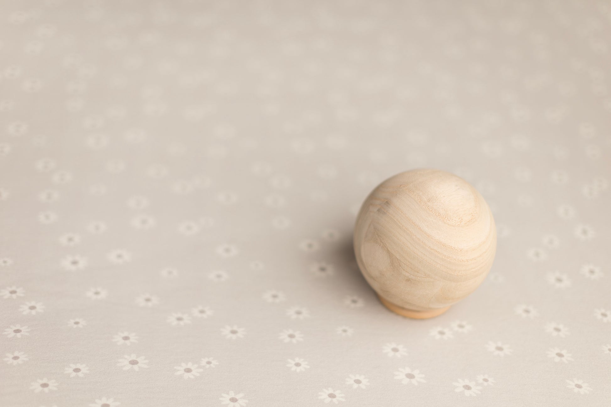 Princess Geller | Moody Daisy