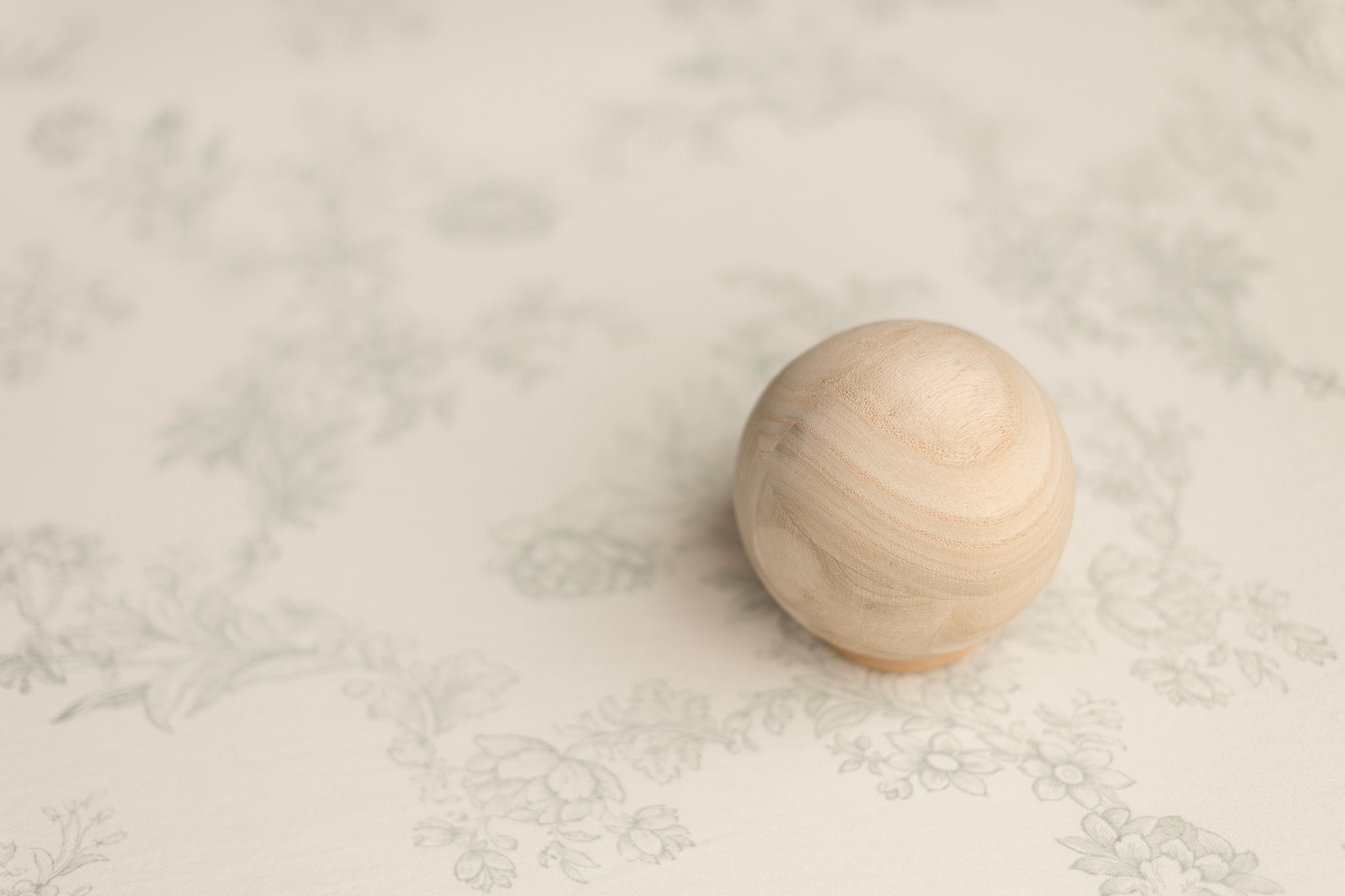 Princess Geller | Pencil Petals