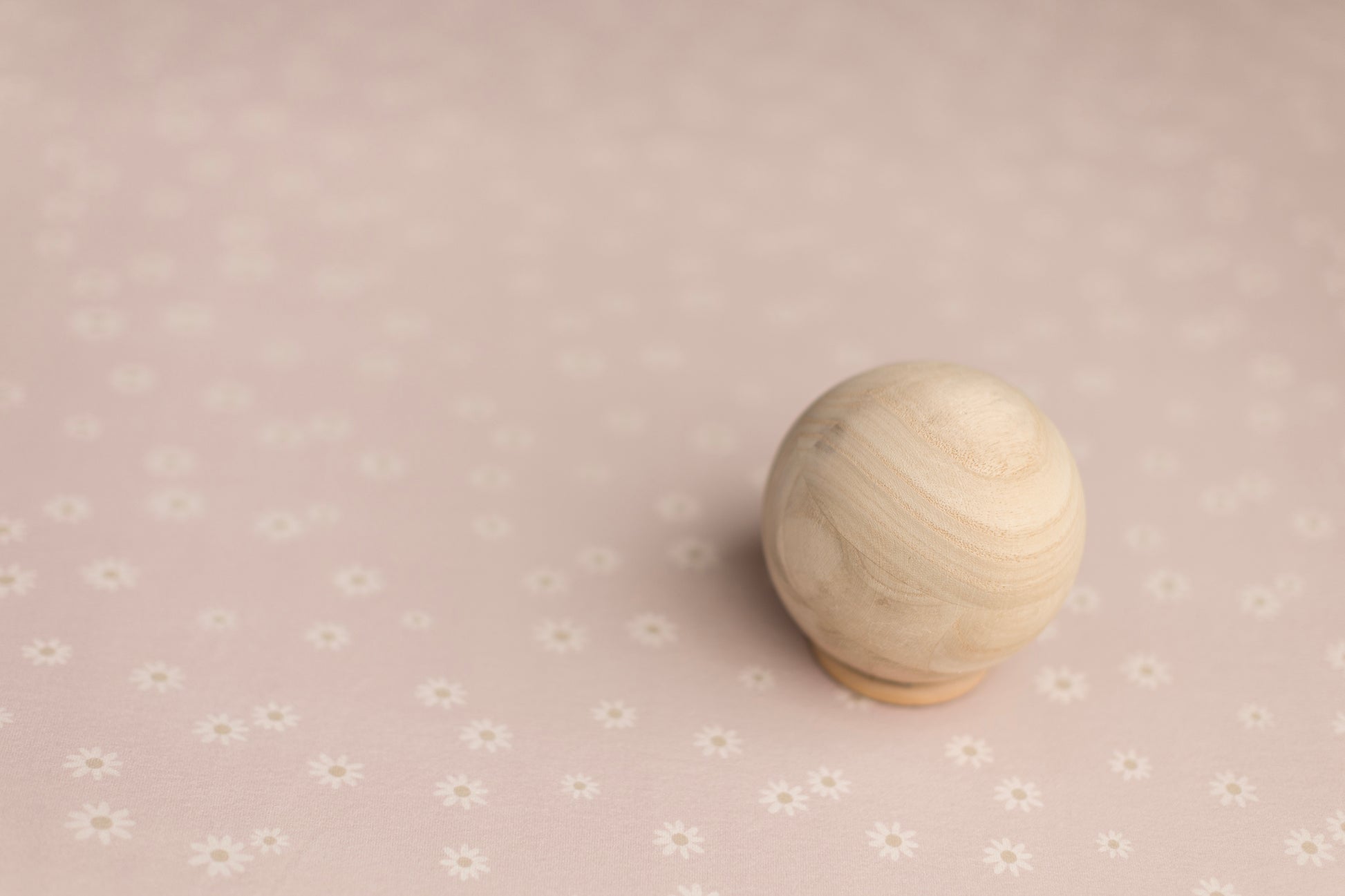 Princess Geller | Rosy Daisy