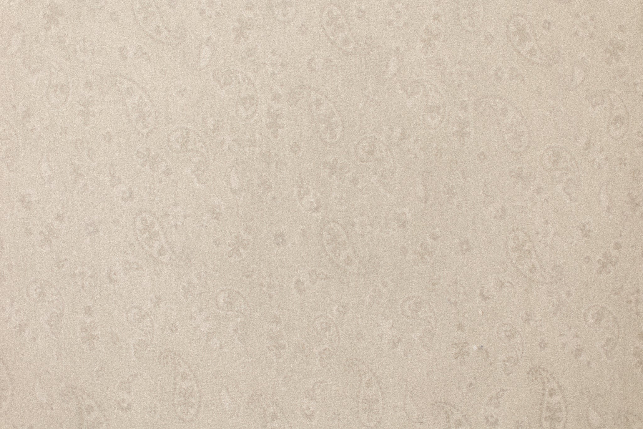 Princess Geller | Cream Bandit (PREORDER)