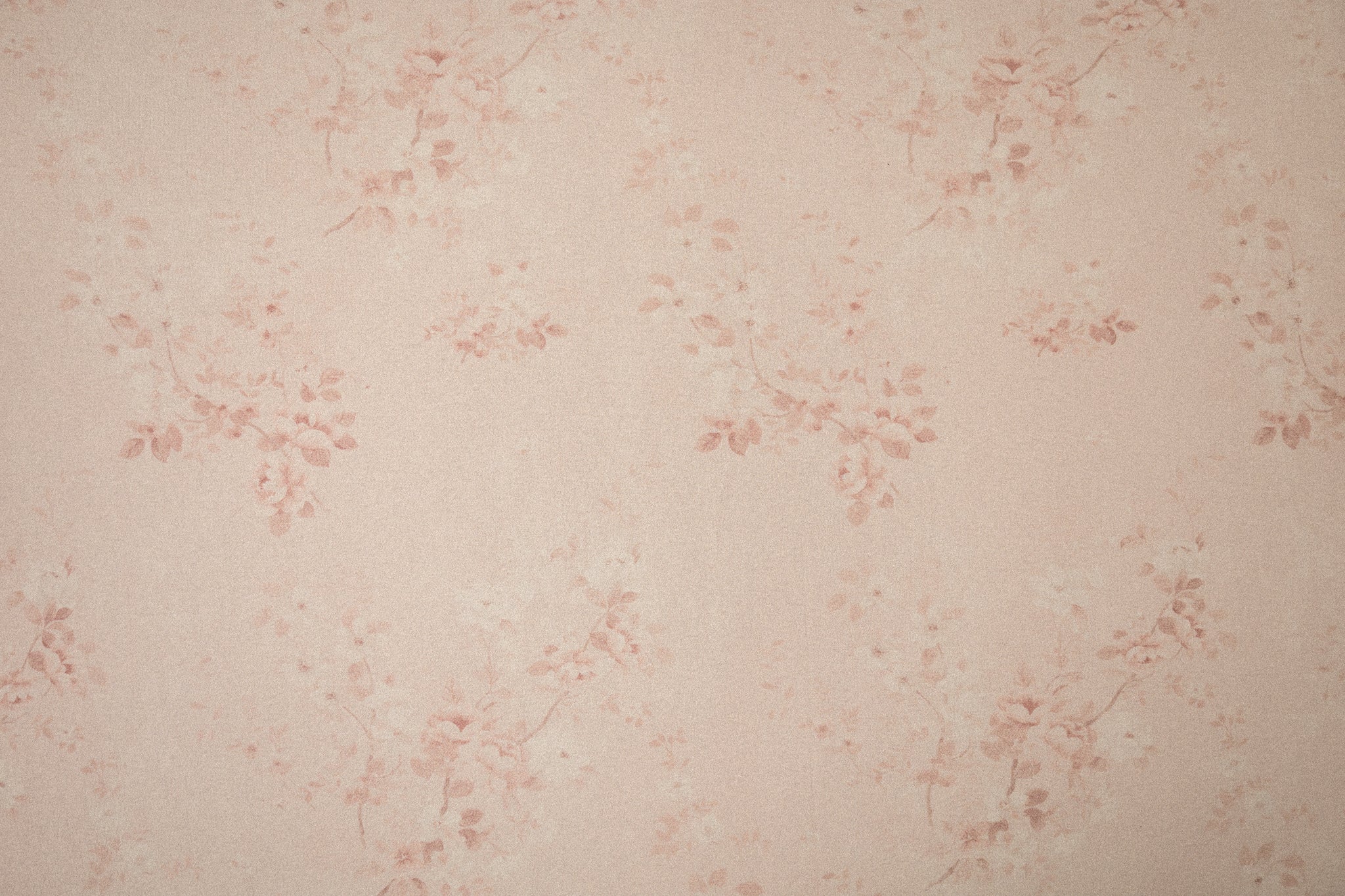 Princess Geller | Pink Sprinkle