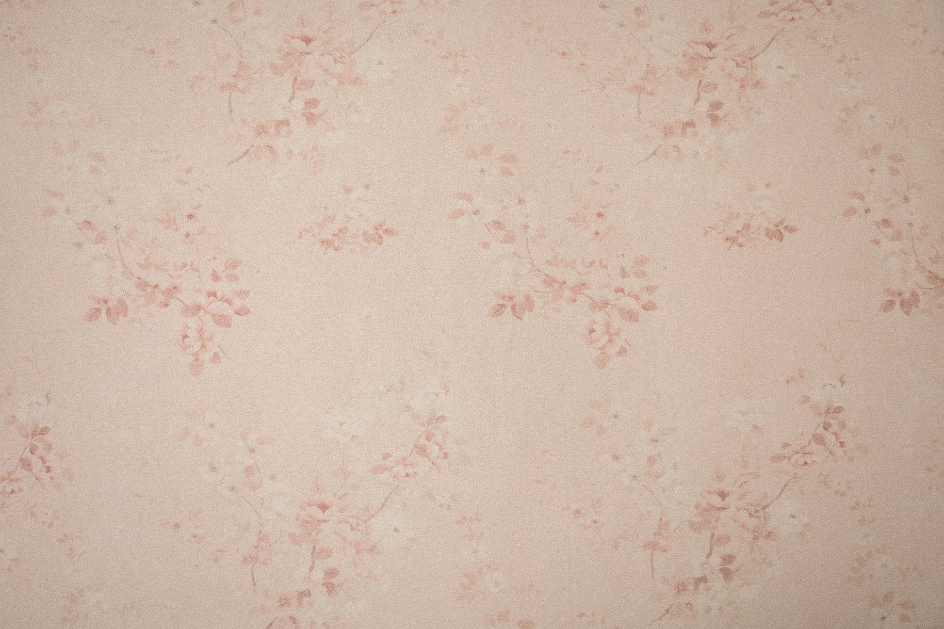 Princess Geller | Pink Sprinkle